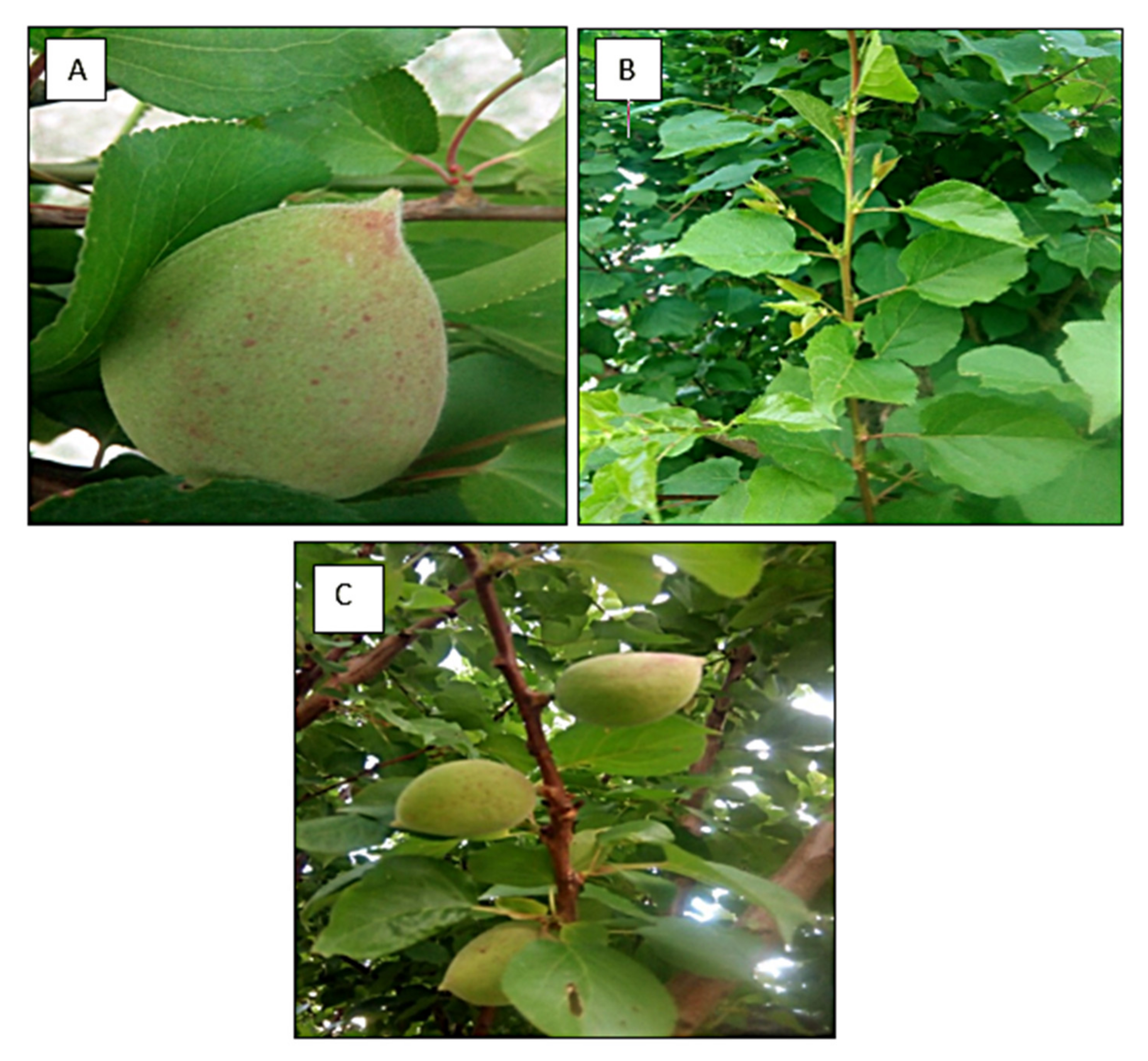 Molecules 27 04752 g001