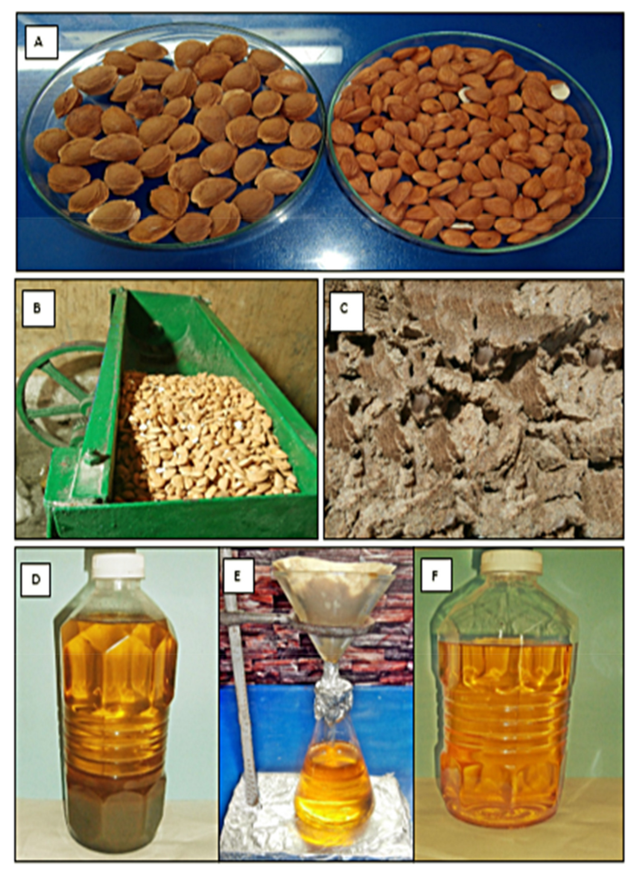 Molecules 27 04752 g002