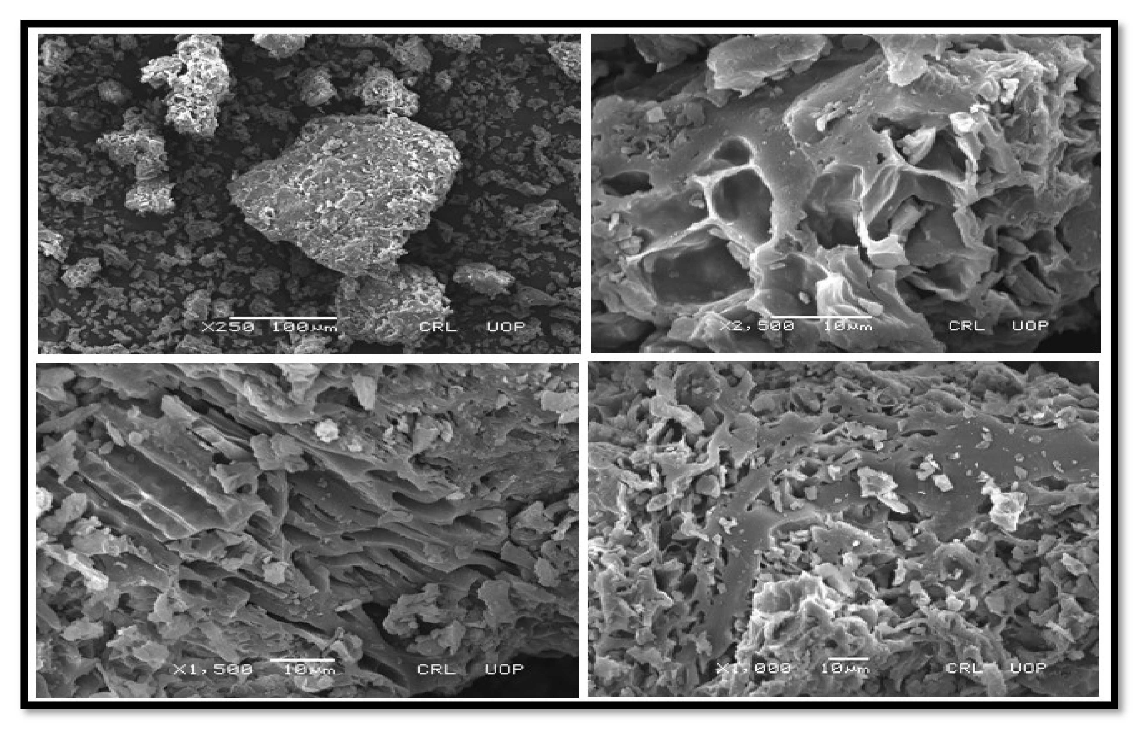 Molecules 27 04752 g006