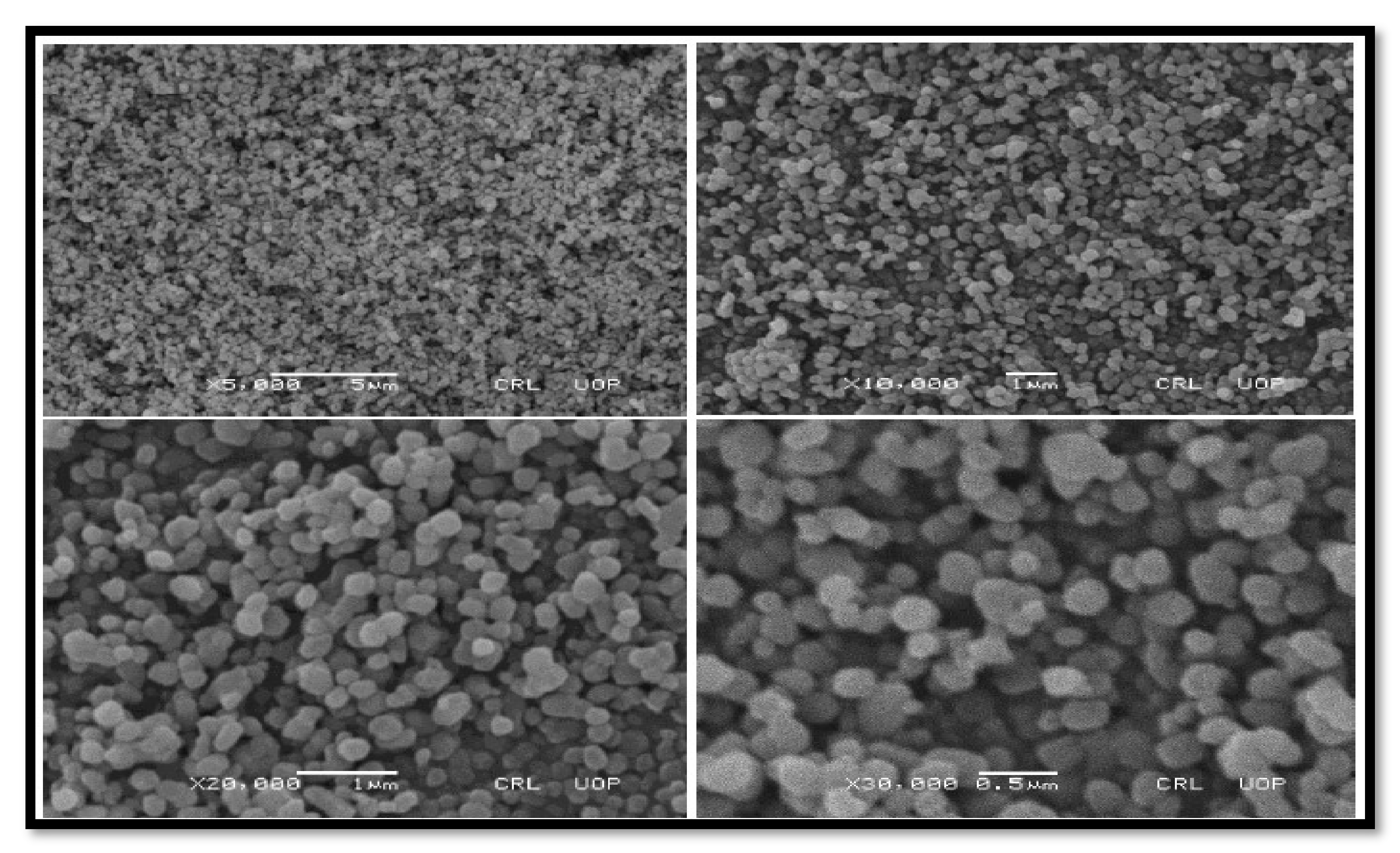 Molecules 27 04752 g008