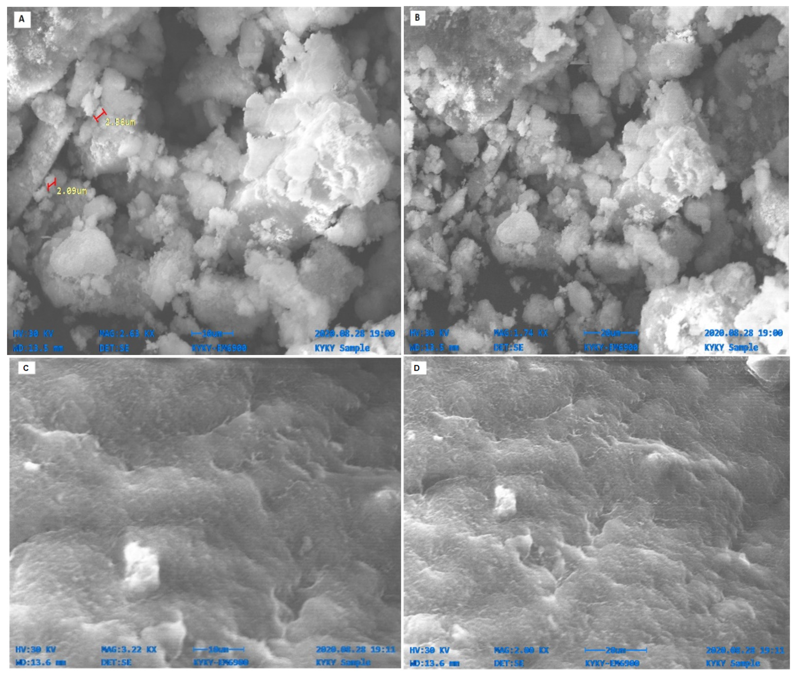 Molecules 27 04753 g004