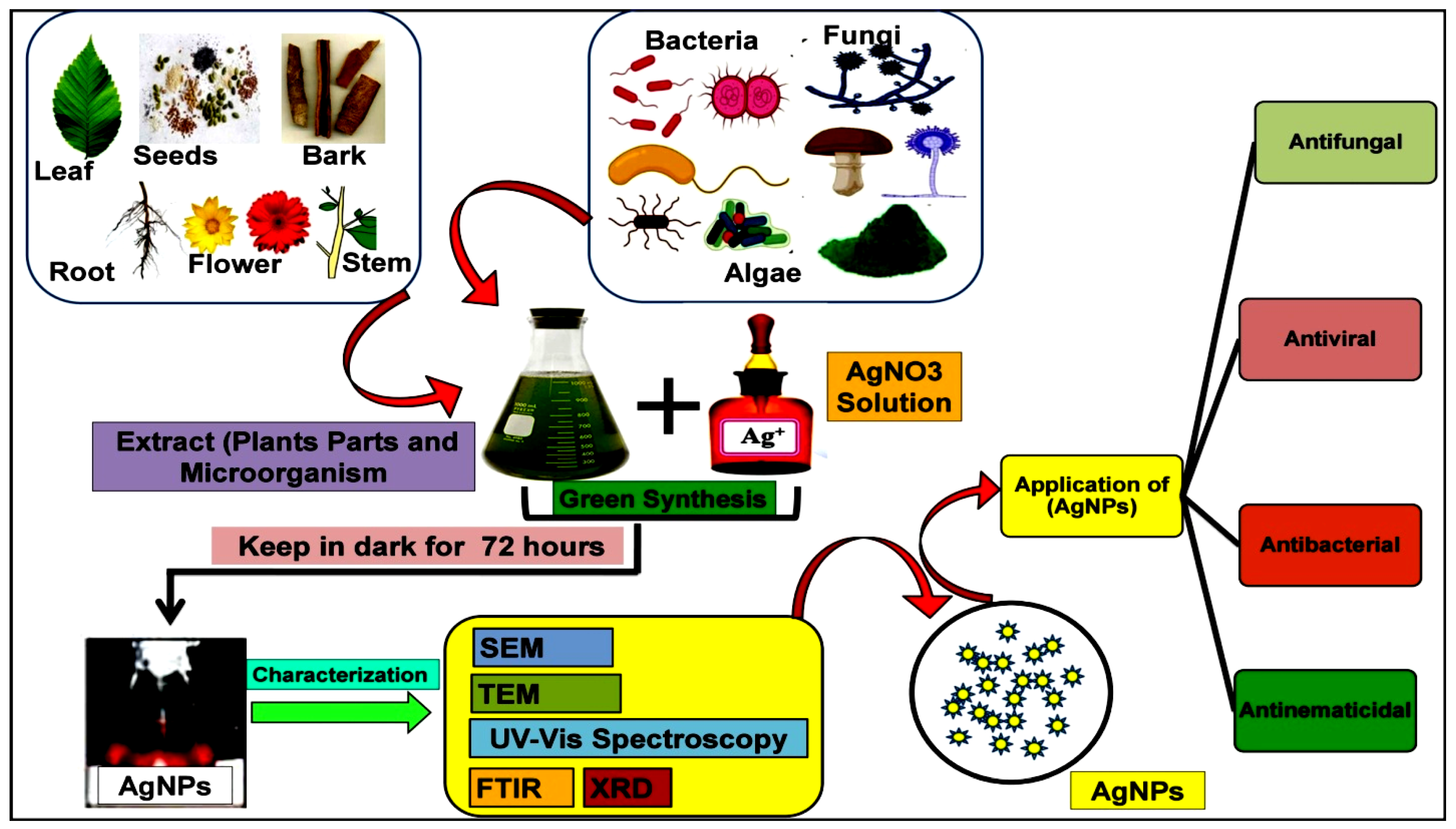 Molecules 27 04754 g002
