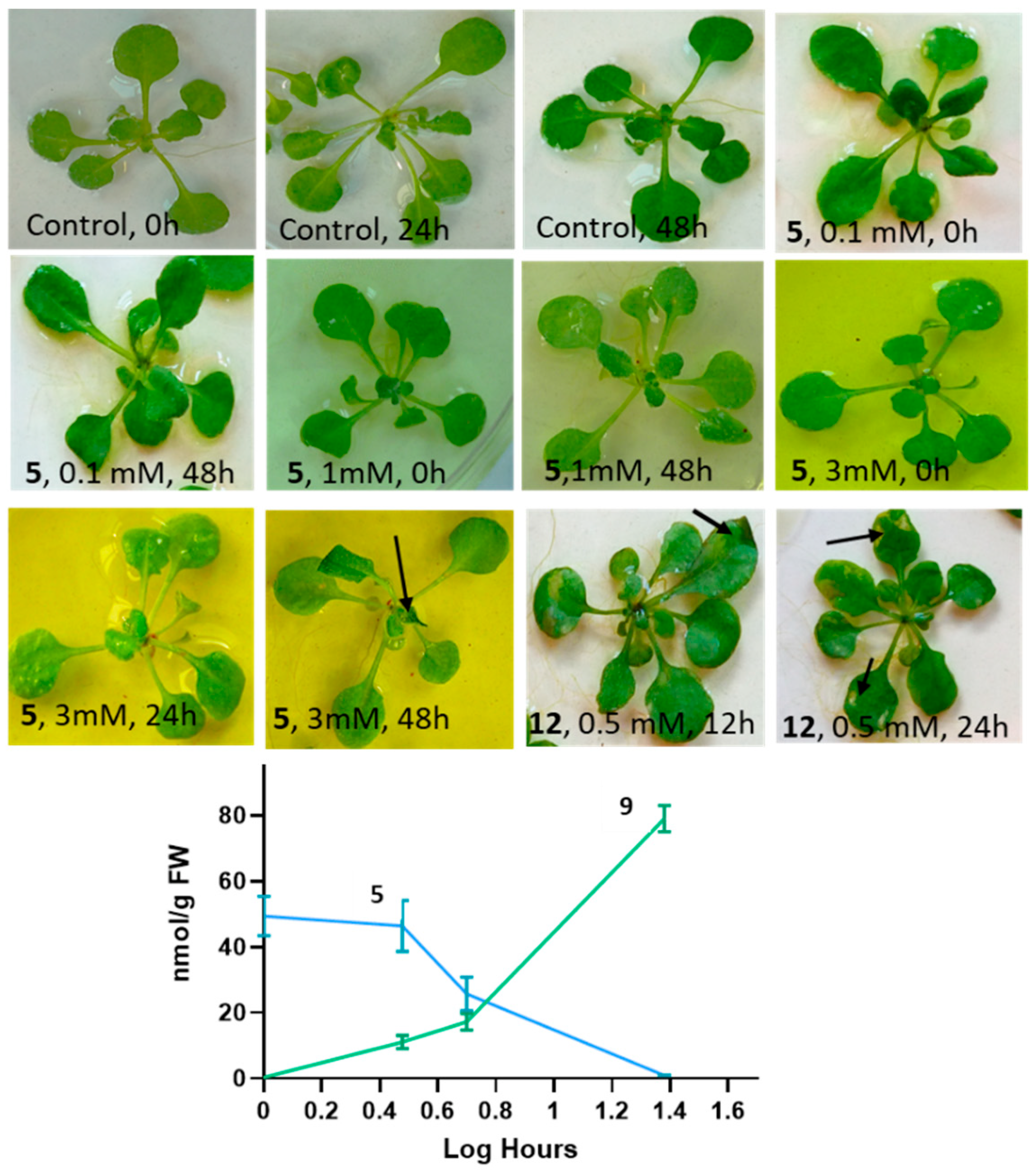 Molecules 27 04786 g008