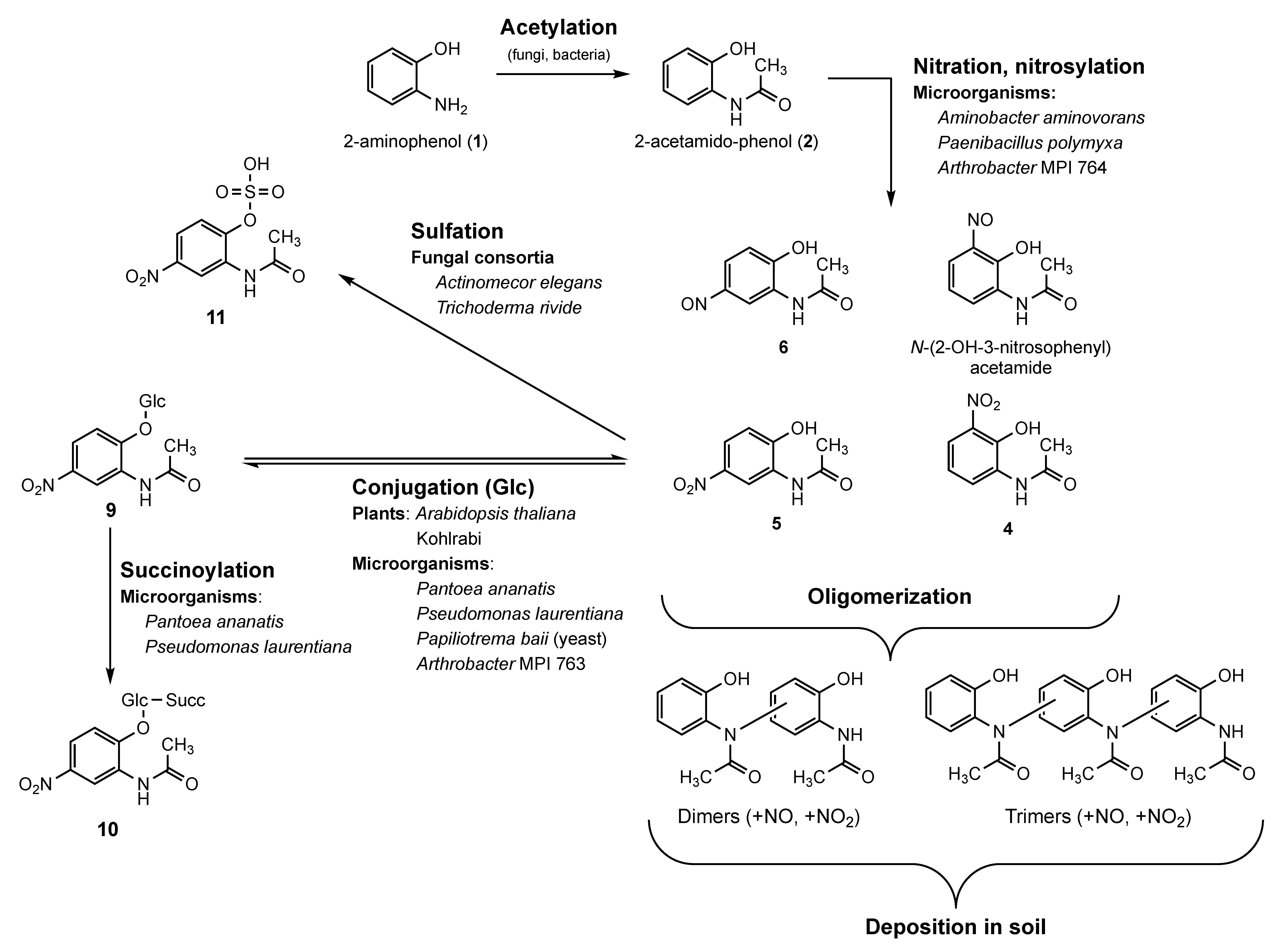 Molecules 27 04786 g010