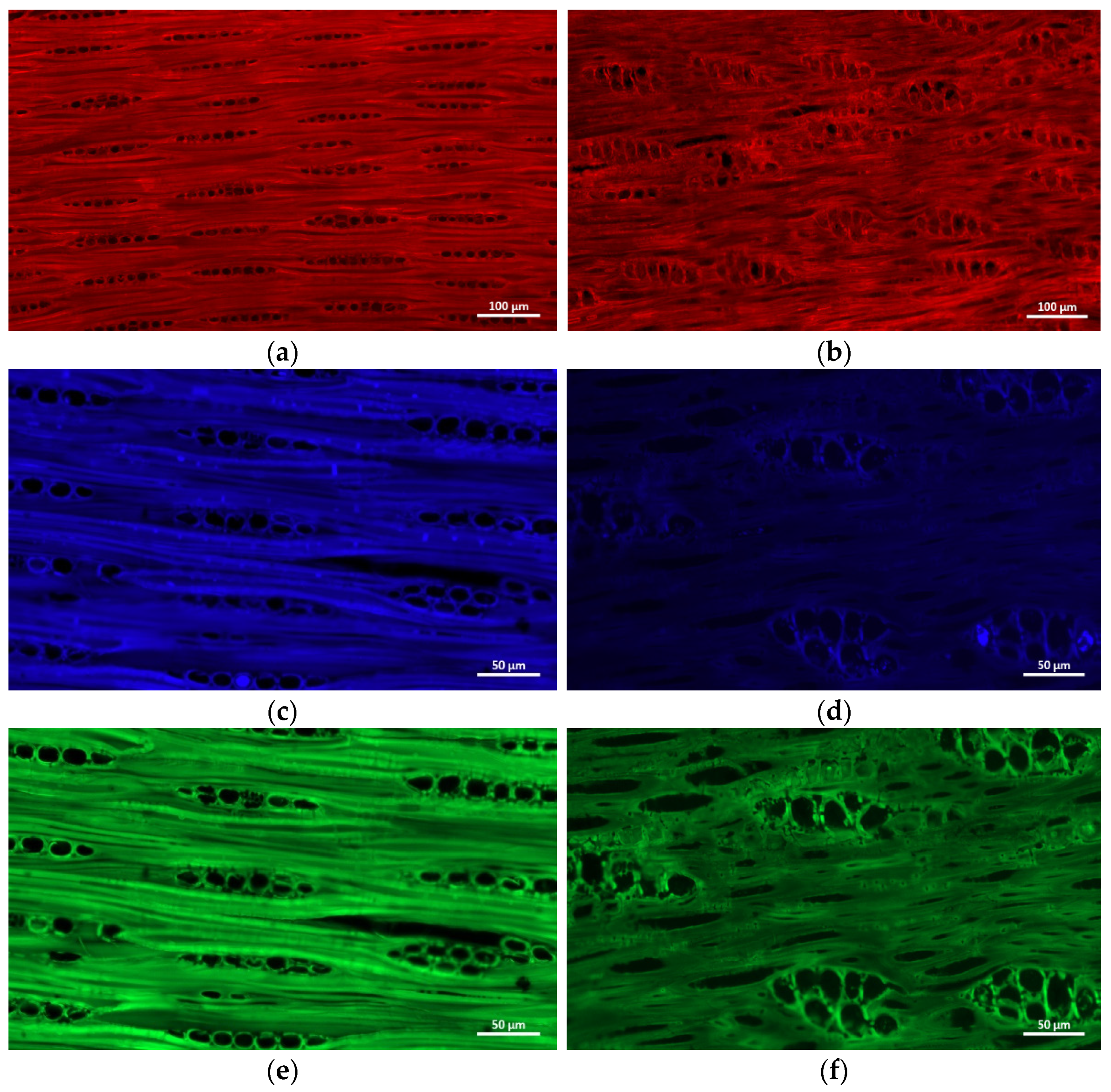 Molecules 27 04793 g005