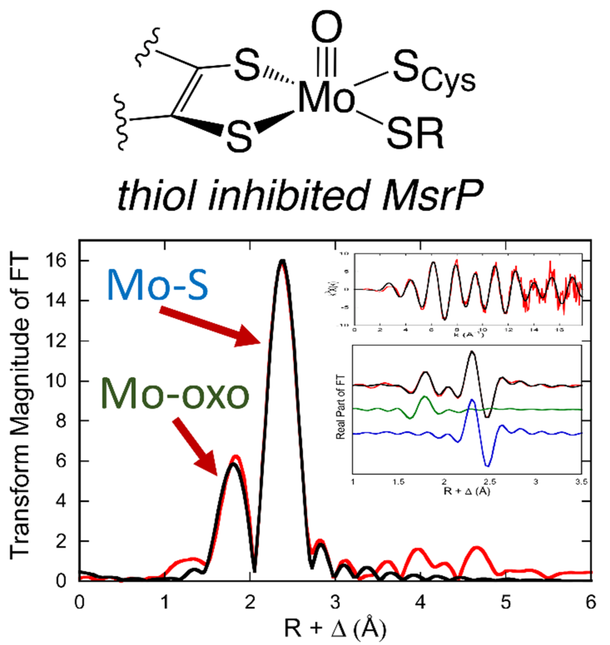 Molecules 27 04802 g005