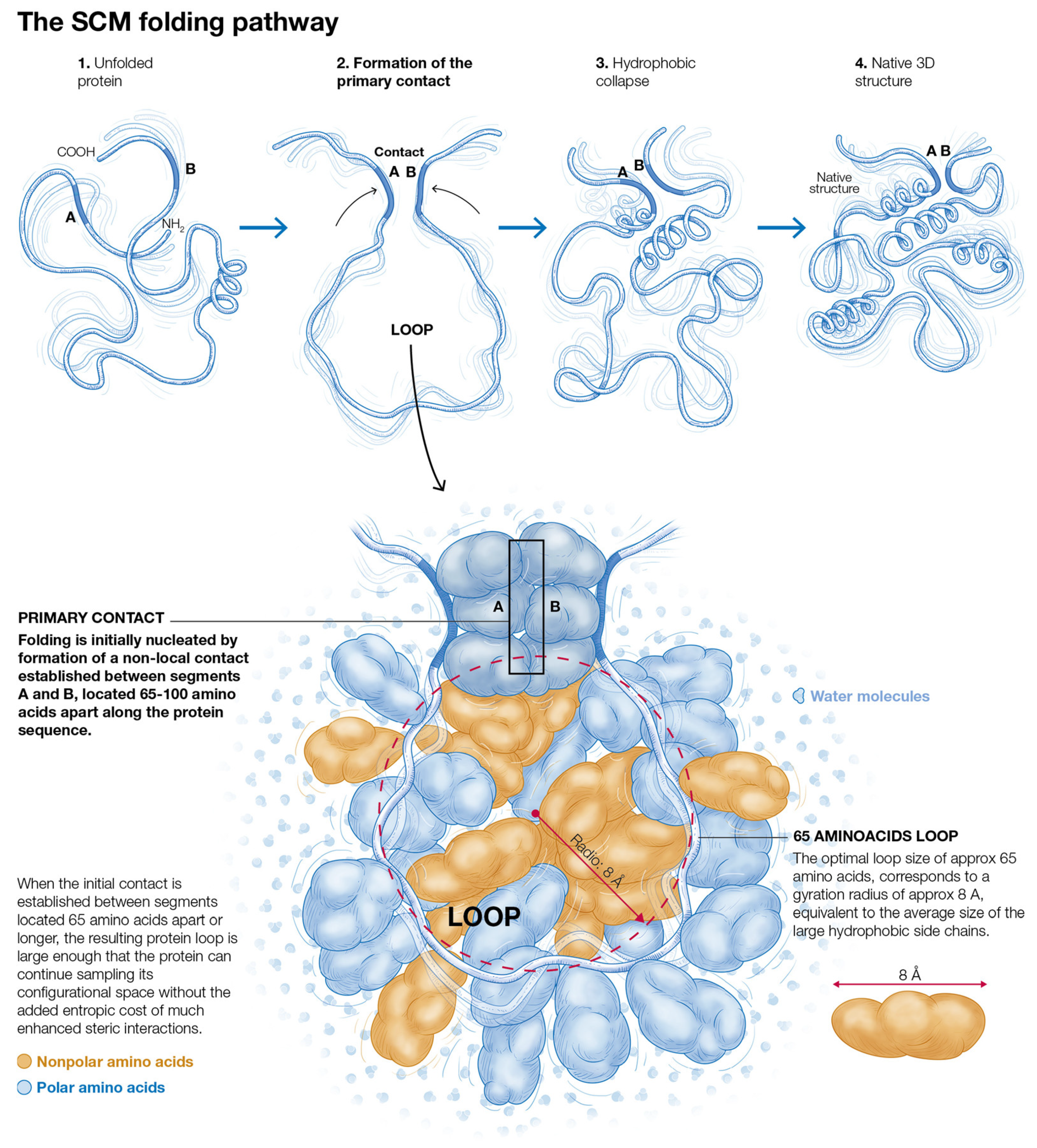 Molecules 27 04810 g001