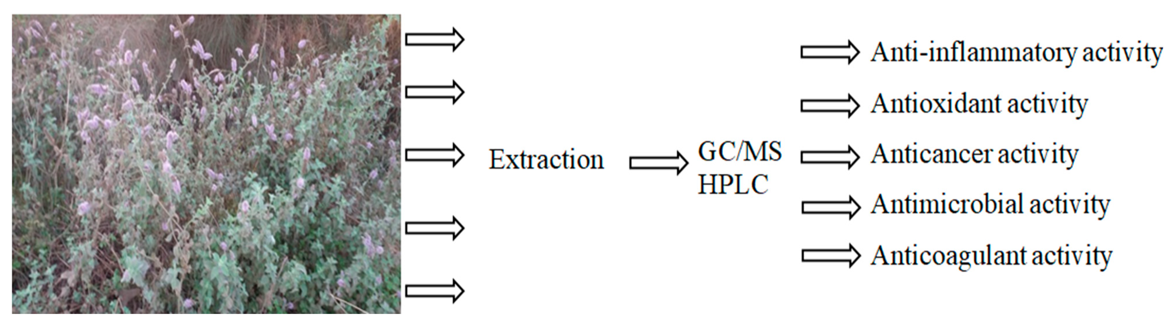 Molecules 27 04824 g001