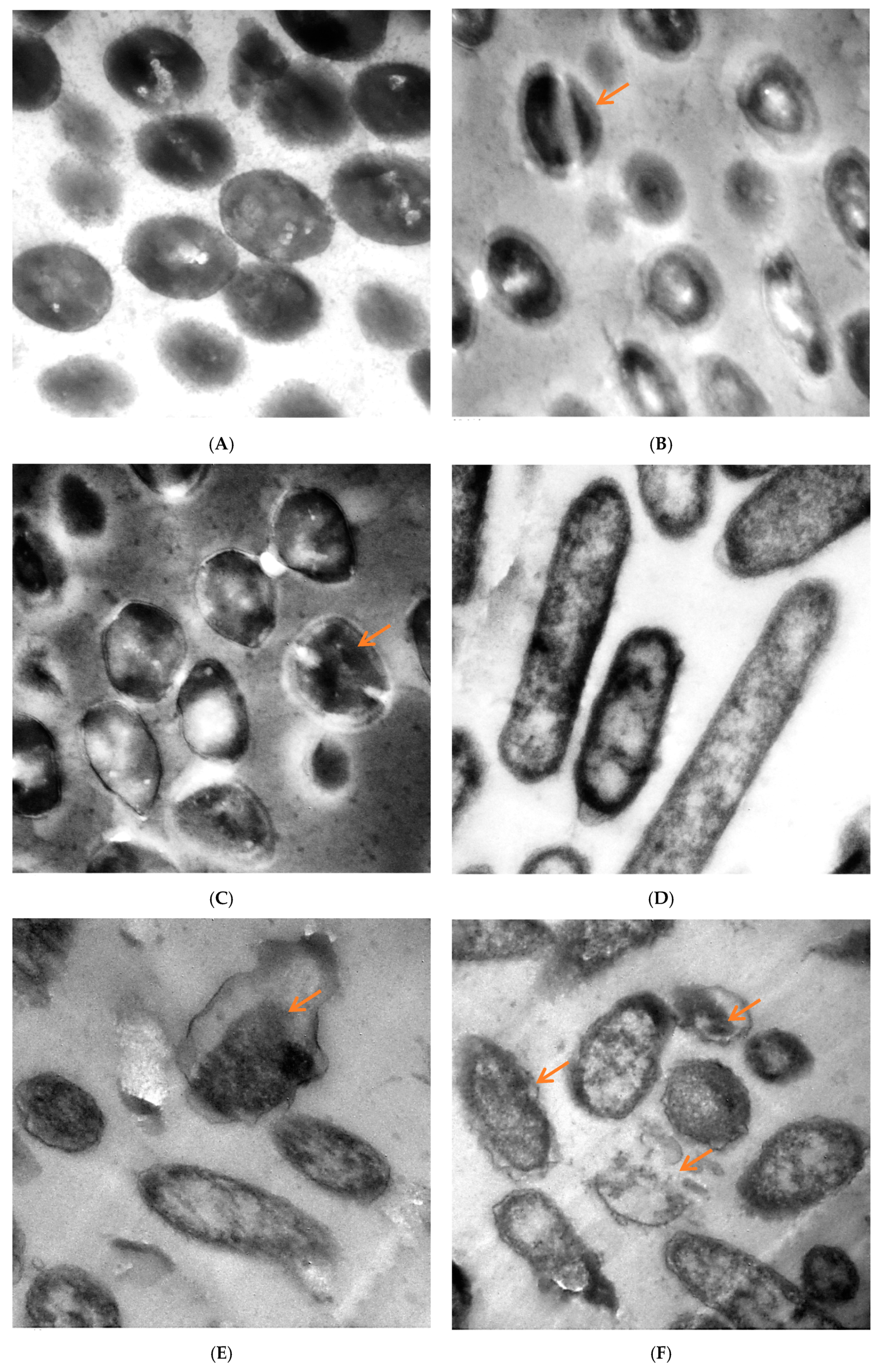 Molecules 27 04824 g006