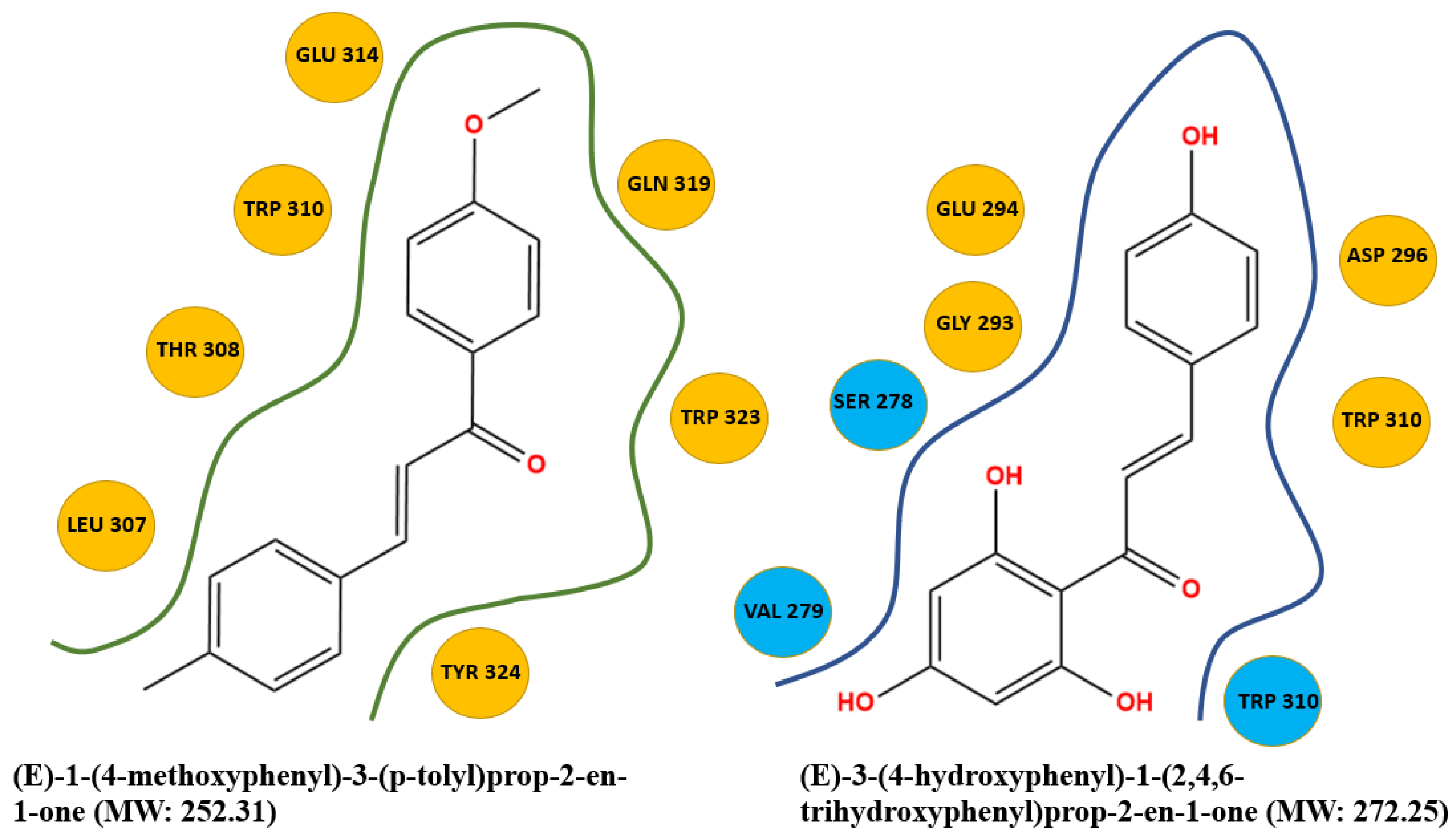 Molecules 27 04825 g004 Molecules 27 04825 g004