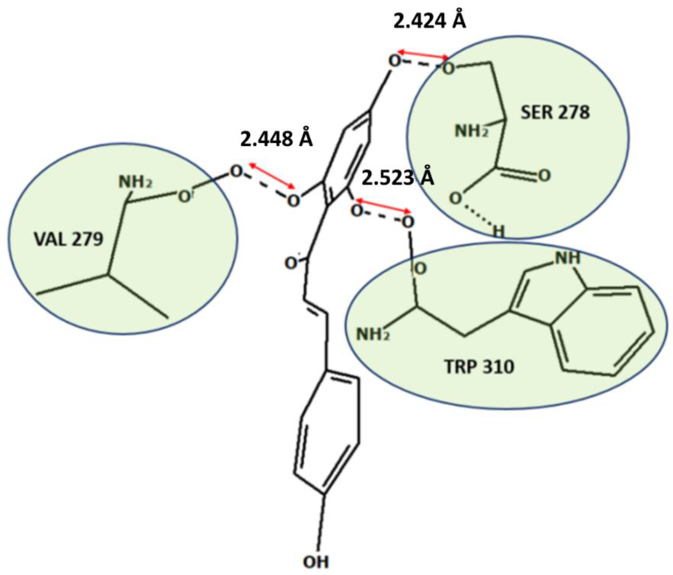Molecules 27 04825 g007 Molecules 27 04825 g007