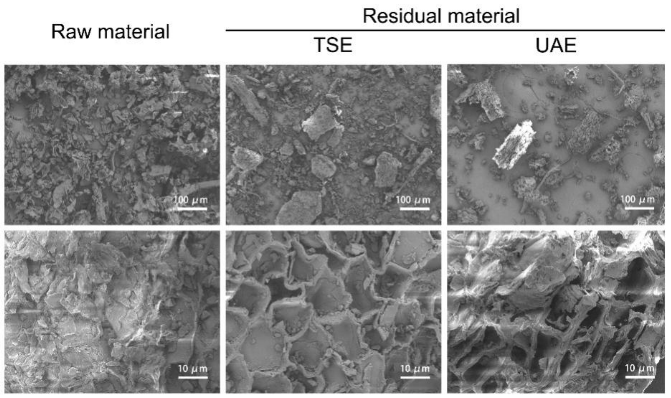 Molecules 27 04837 g006