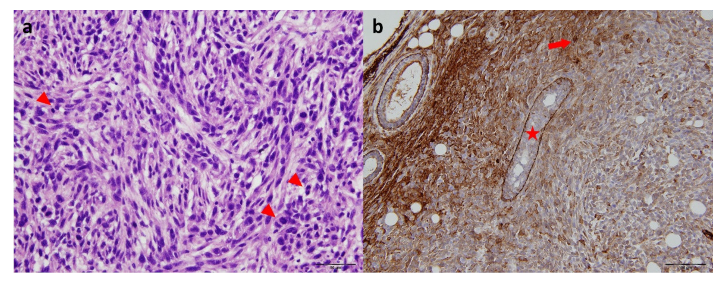 Molecules 27 04869 g001