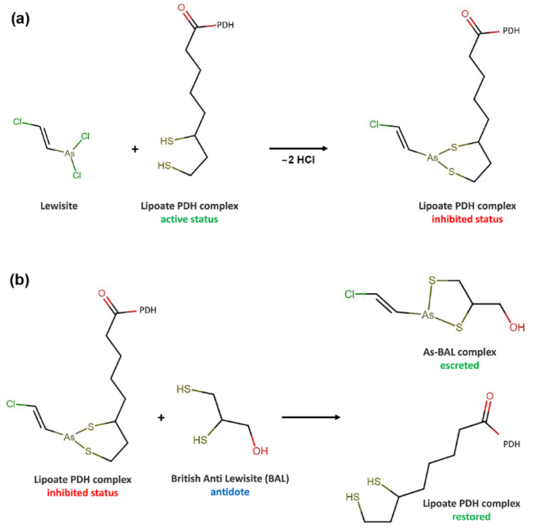 Molecules 27 04871 g001 Molecules 27 04871 g001