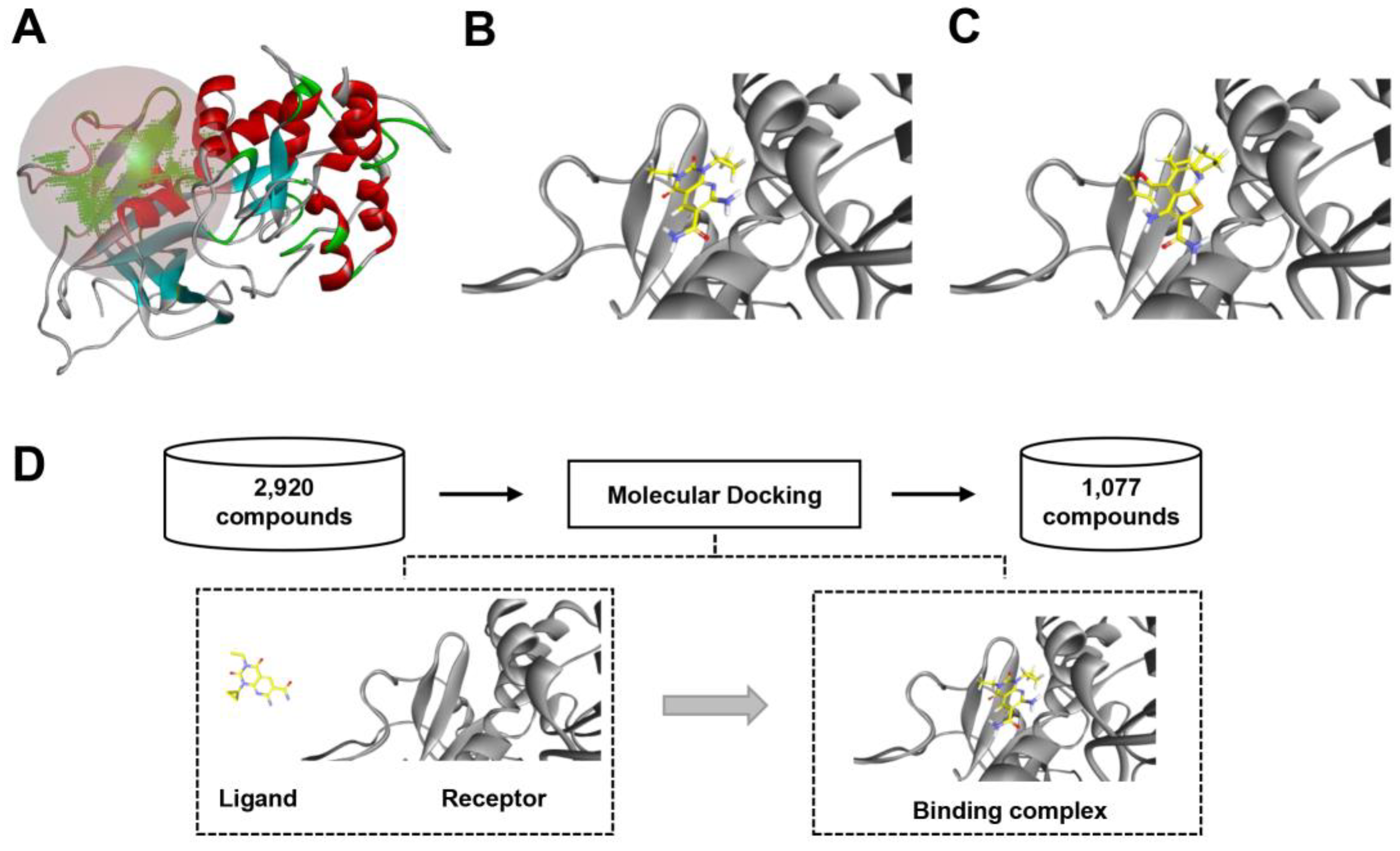 Molecules 27 04886 g004 Molecules 27 04886 g004