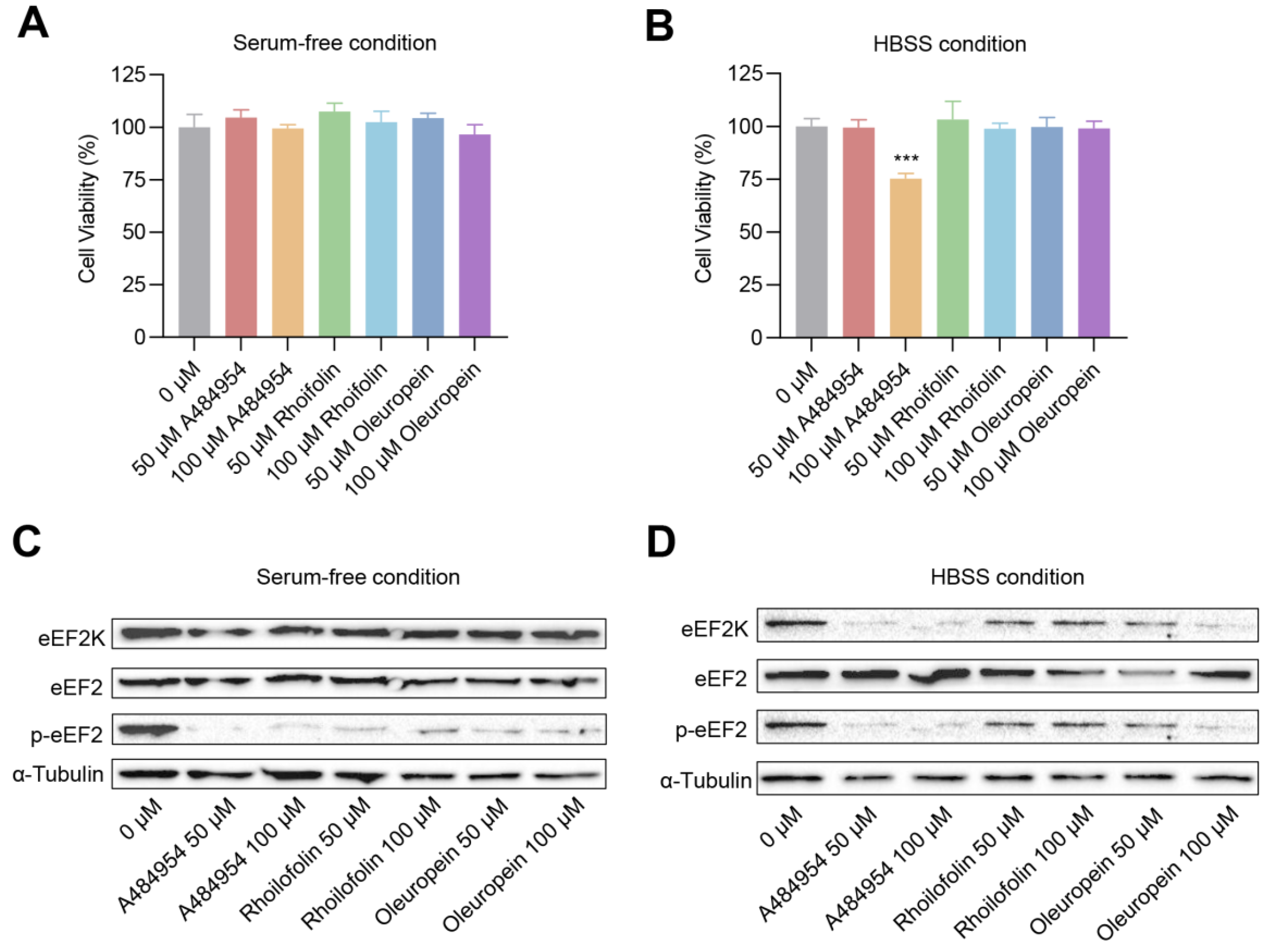 Molecules 27 04886 g006 Molecules 27 04886 g006