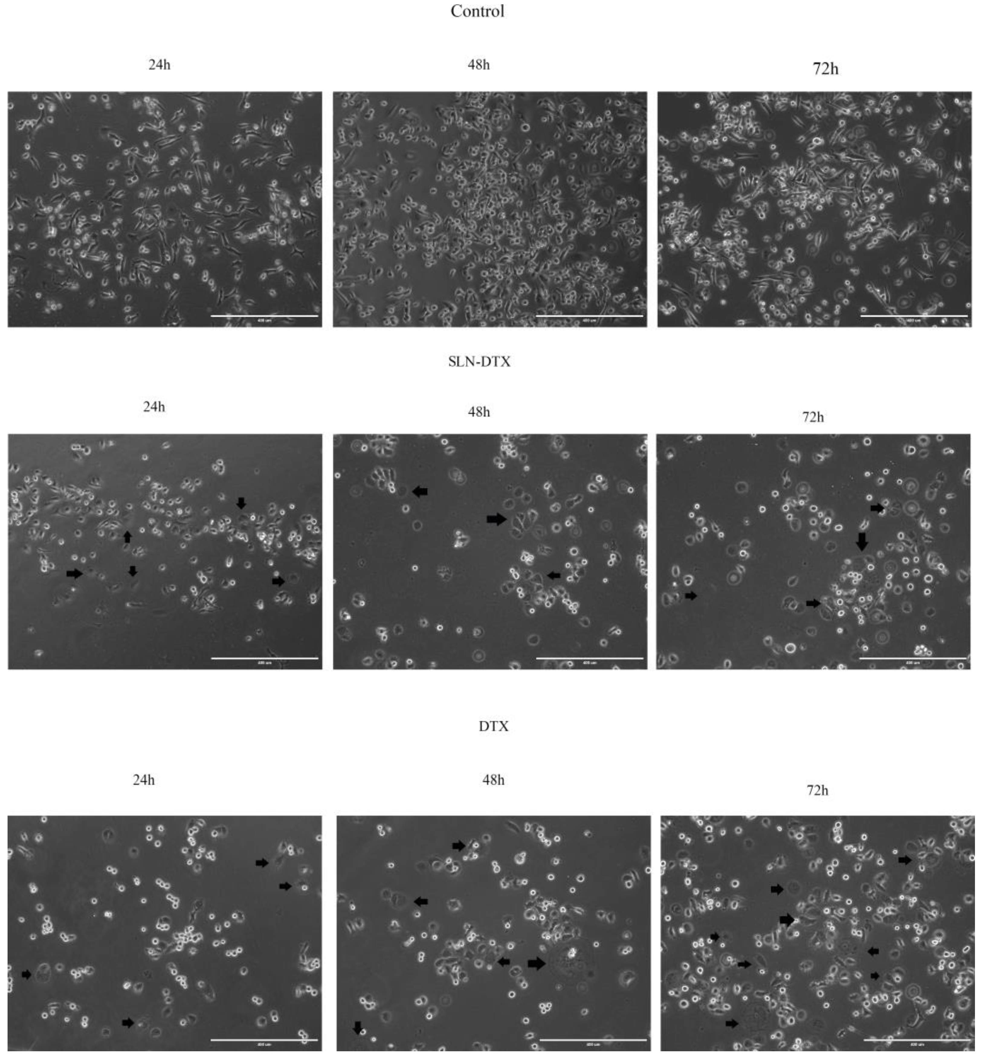Molecules 27 04920 g002