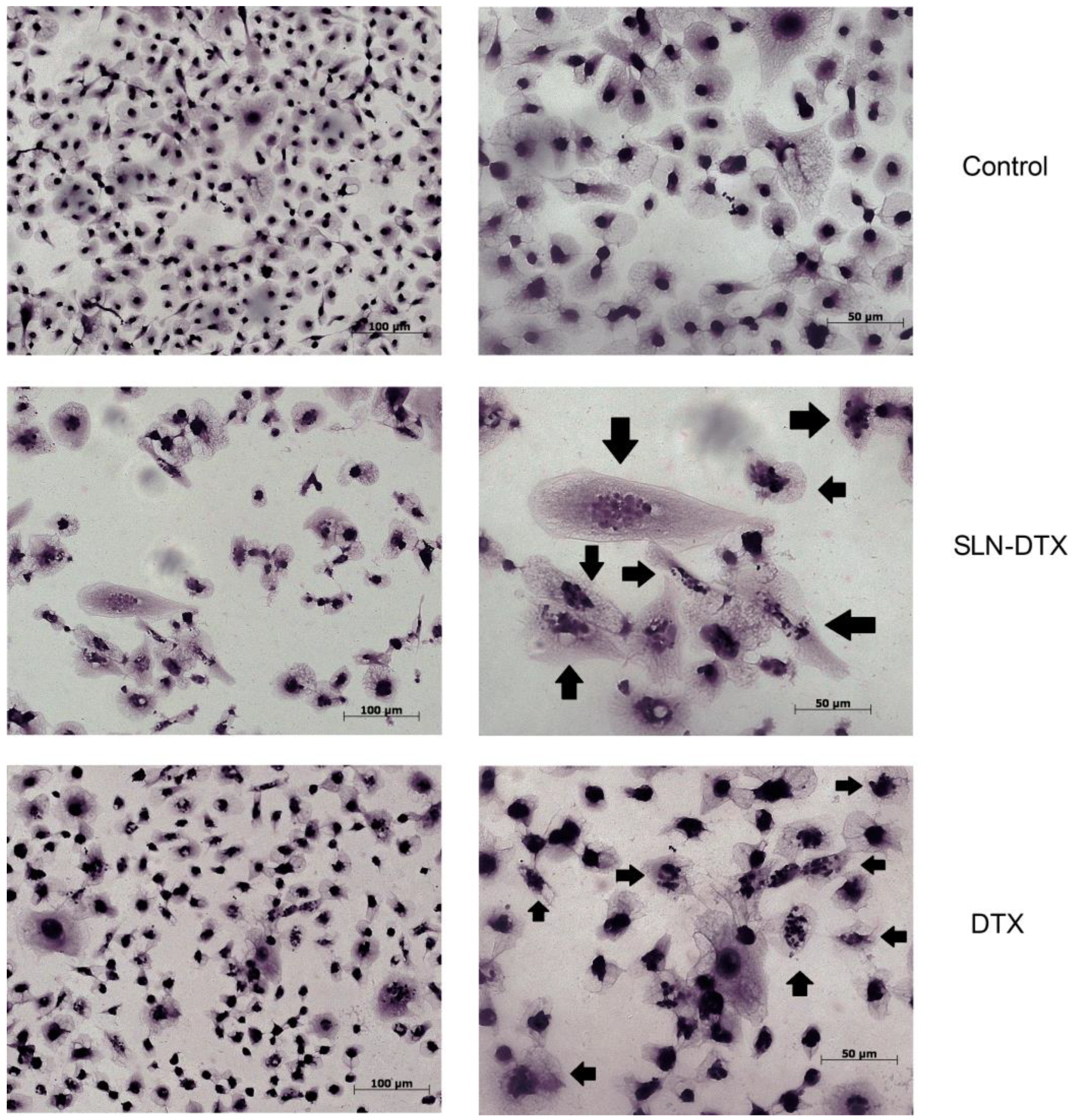 Molecules 27 04920 g003
