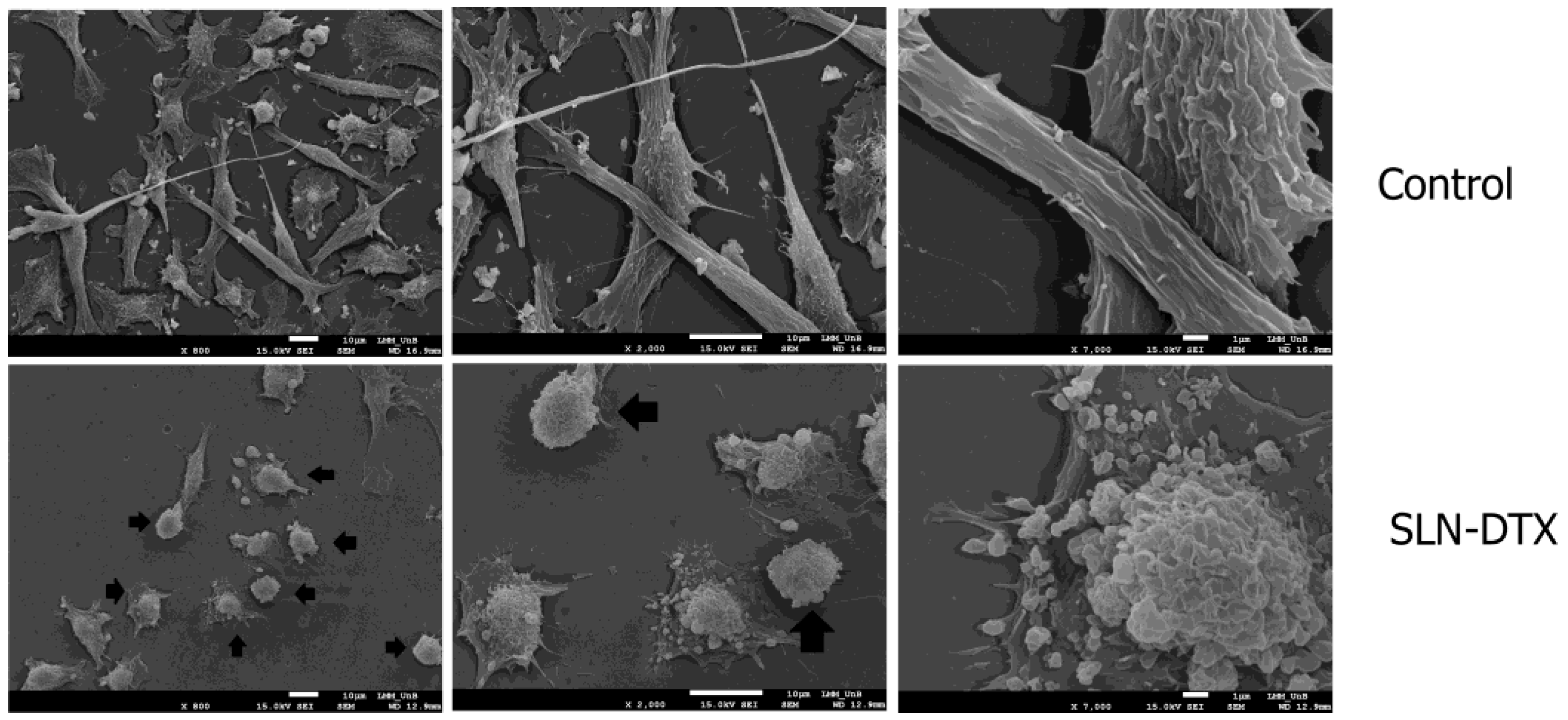 Molecules 27 04920 g004