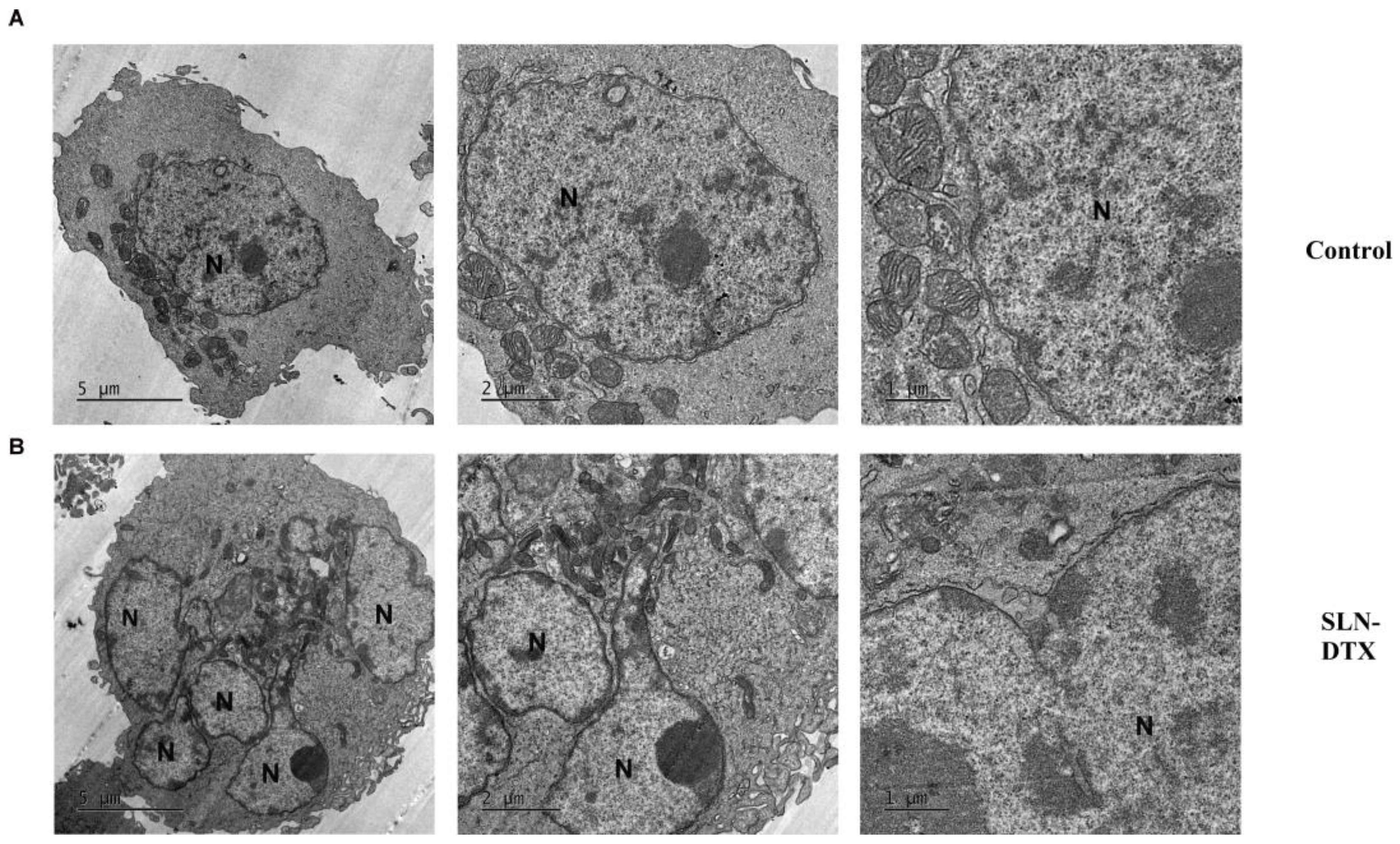 Molecules 27 04920 g006