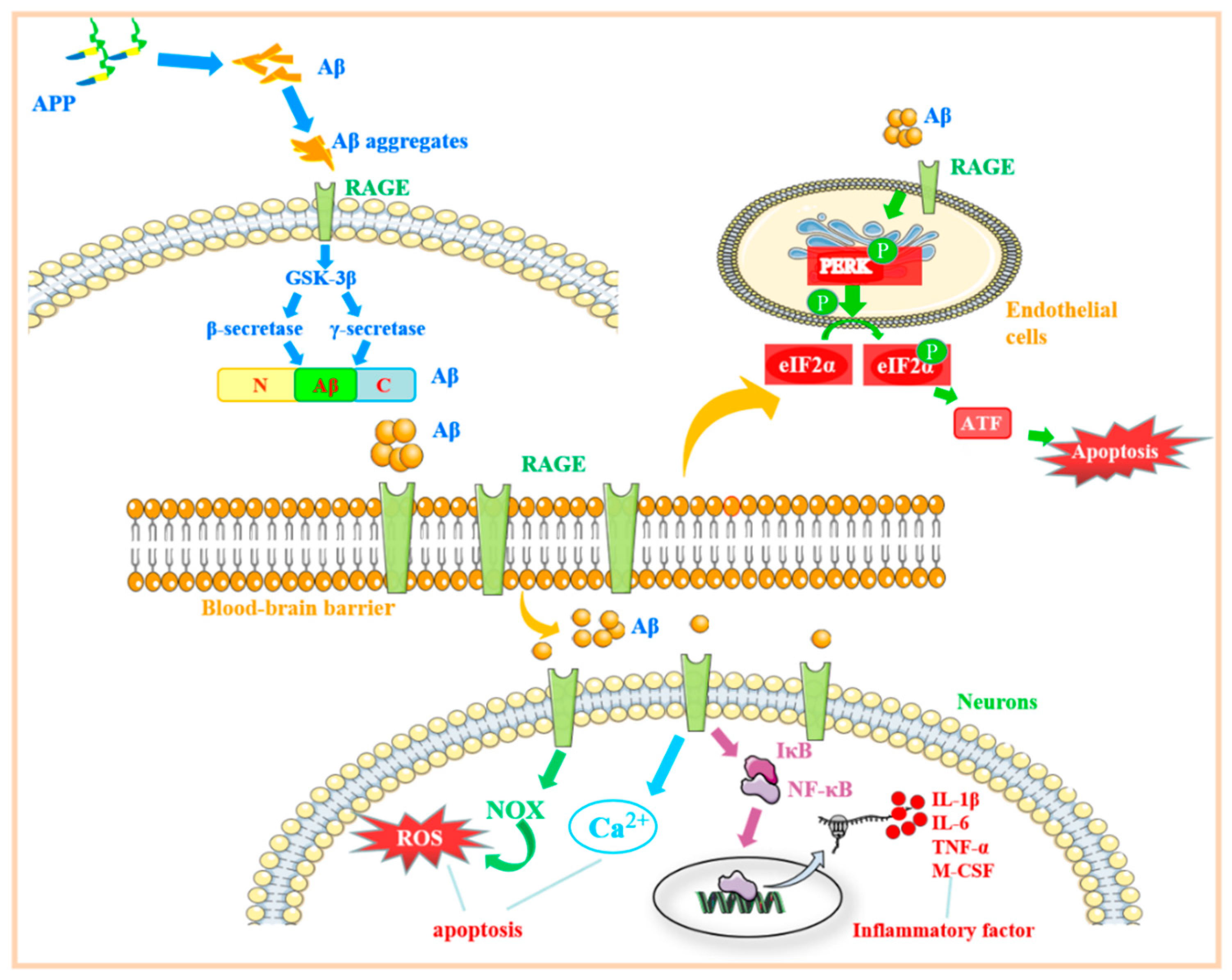 Molecules 27 04922 g004