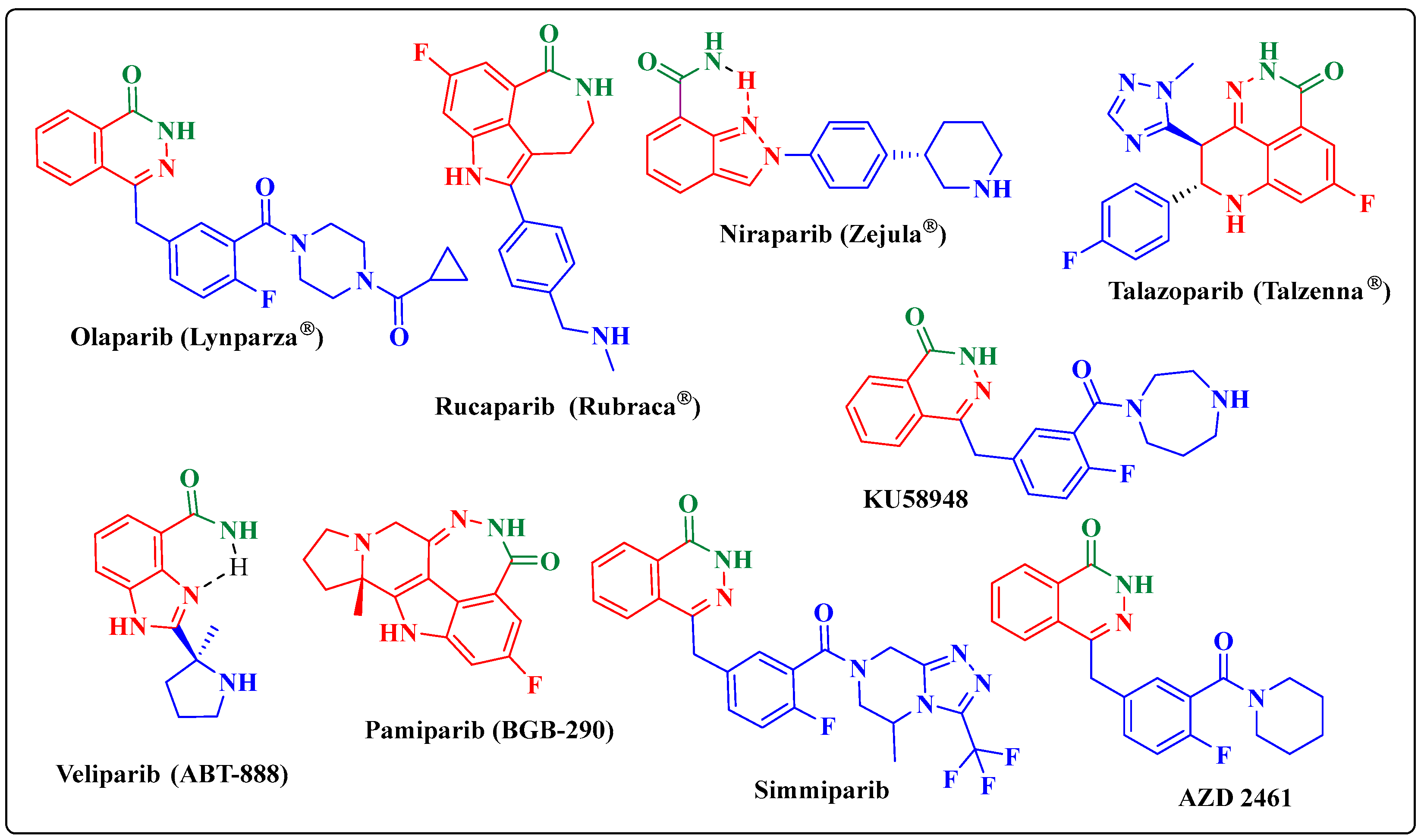 Molecules 27 04924 g001