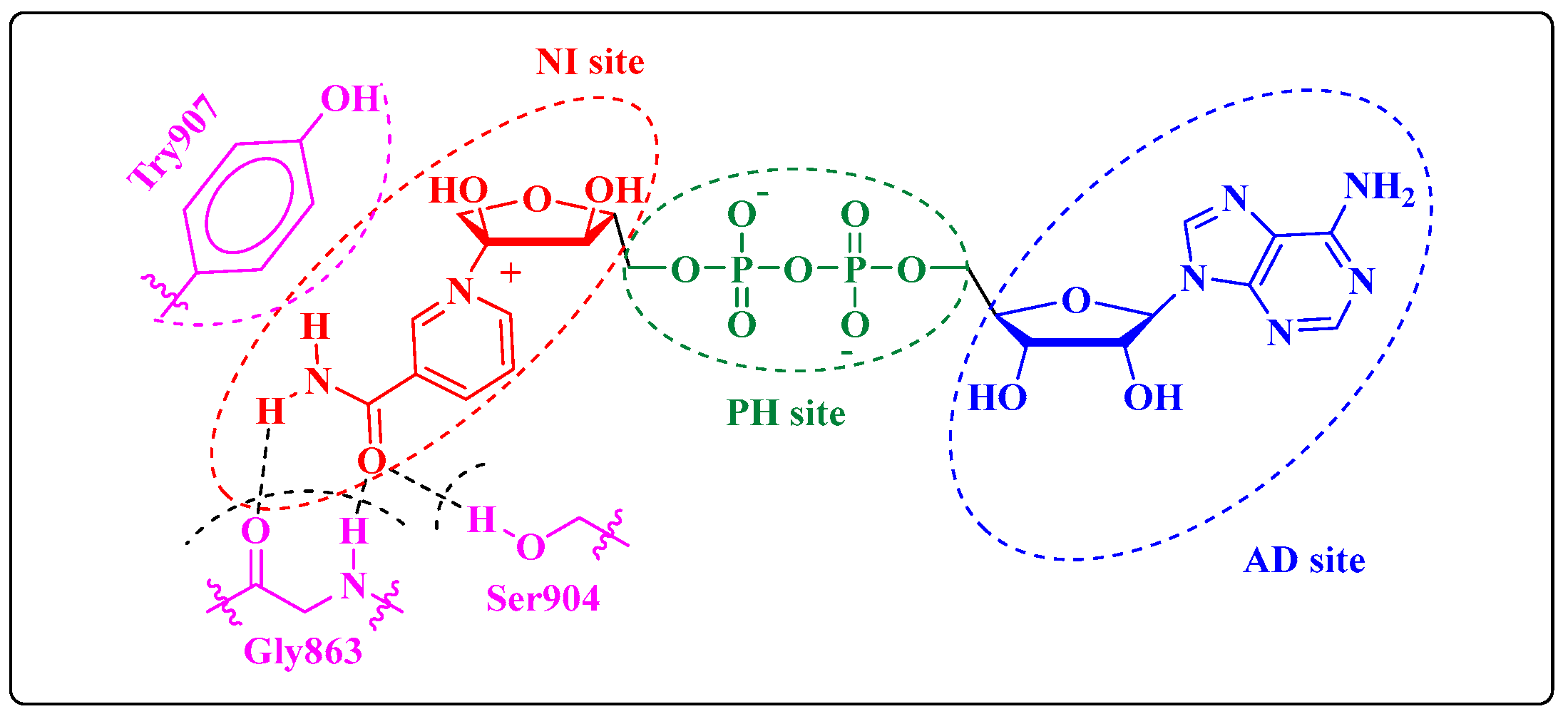 Molecules 27 04924 g002