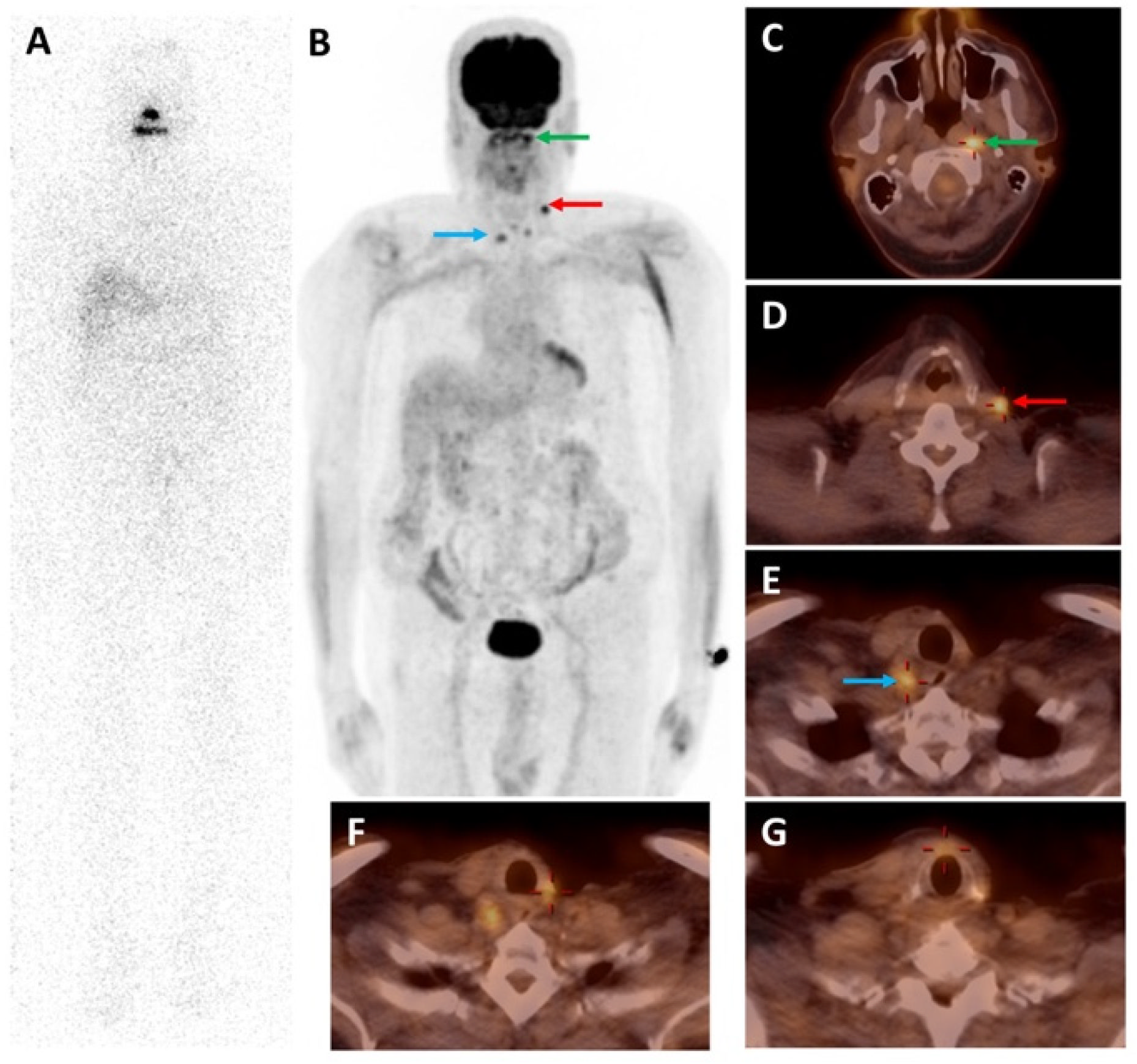 Molecules 27 04936 g002