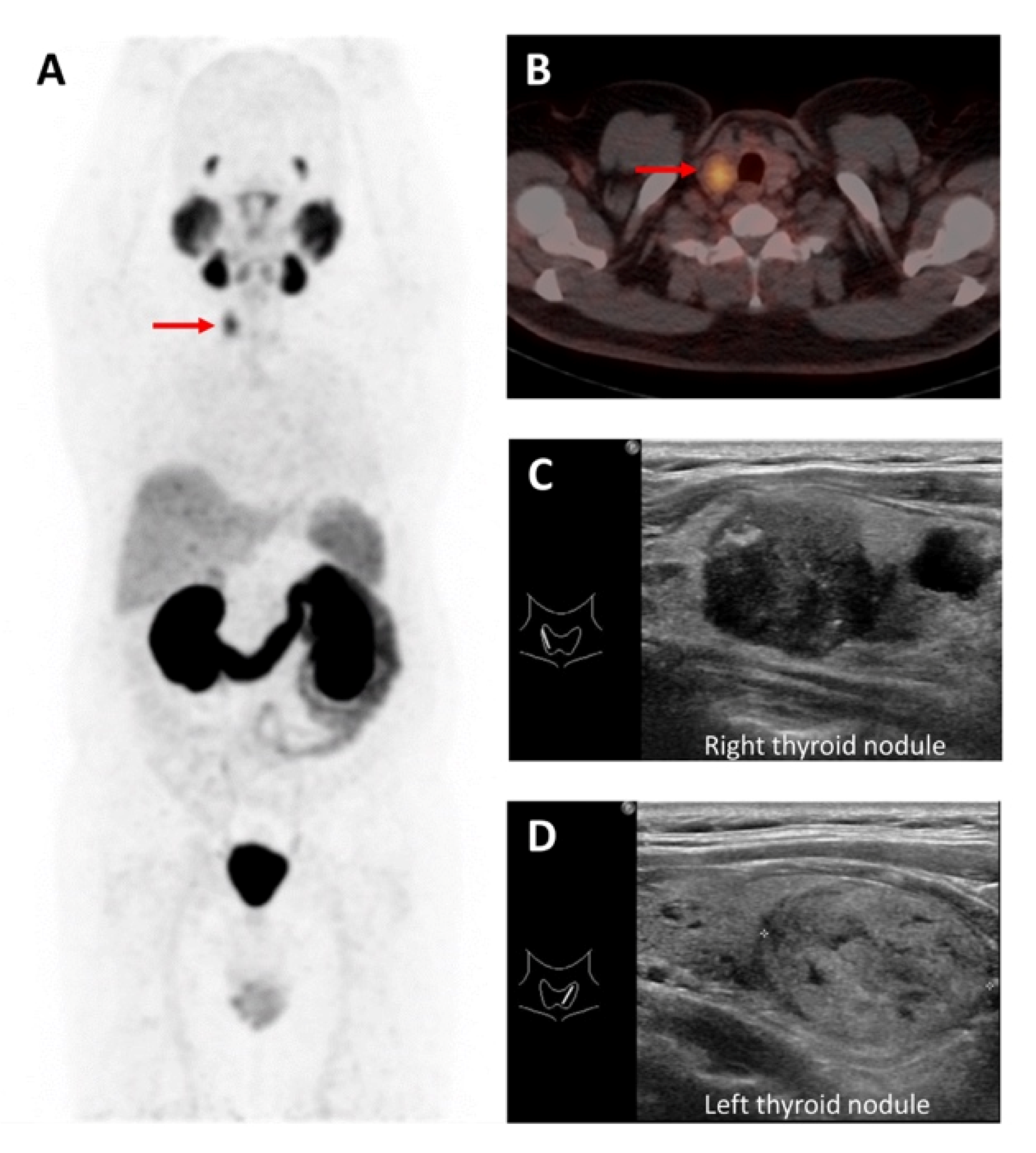 Molecules 27 04936 g004