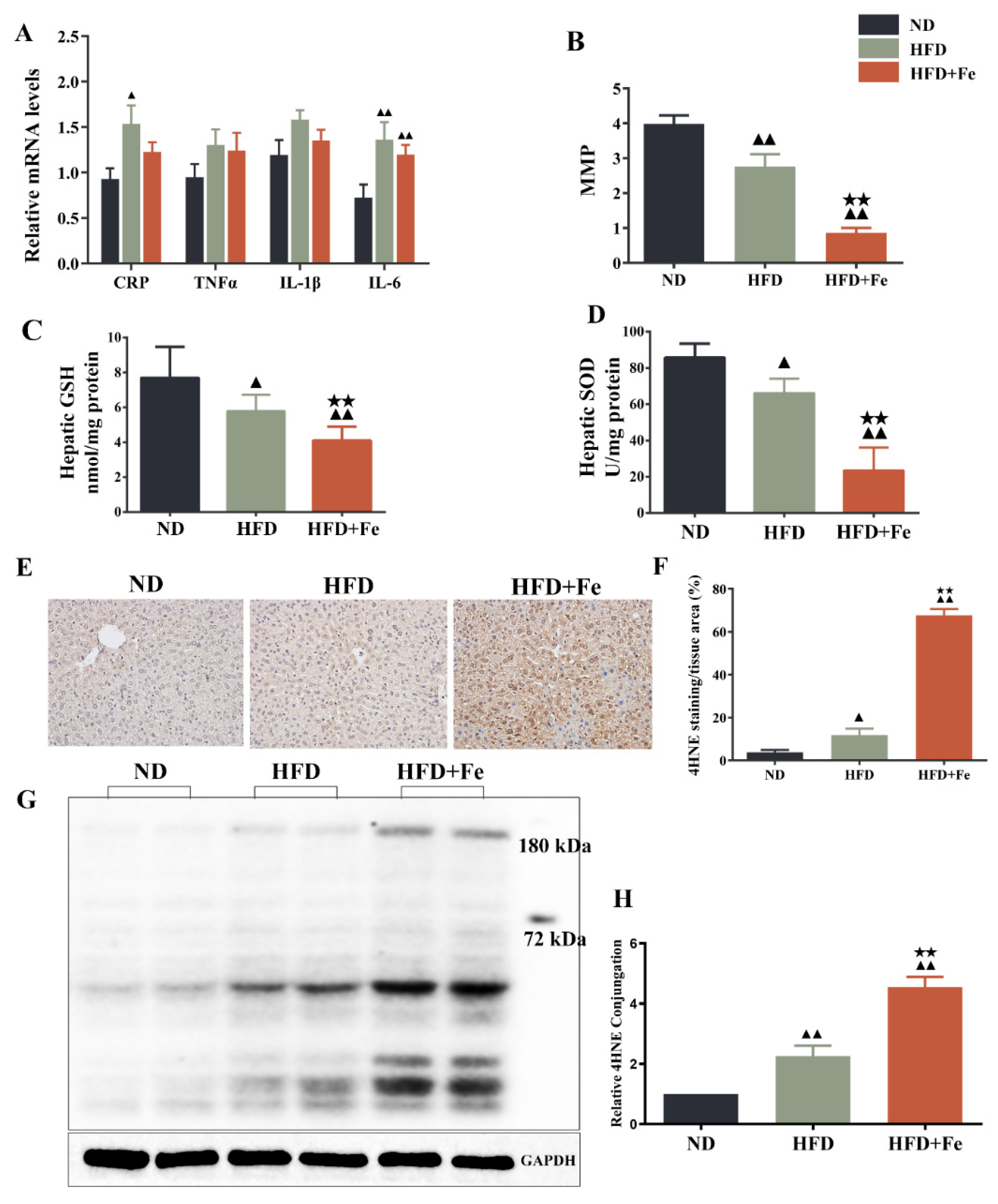 Molecules 27 04966 g004 Molecules 27 04966 g004