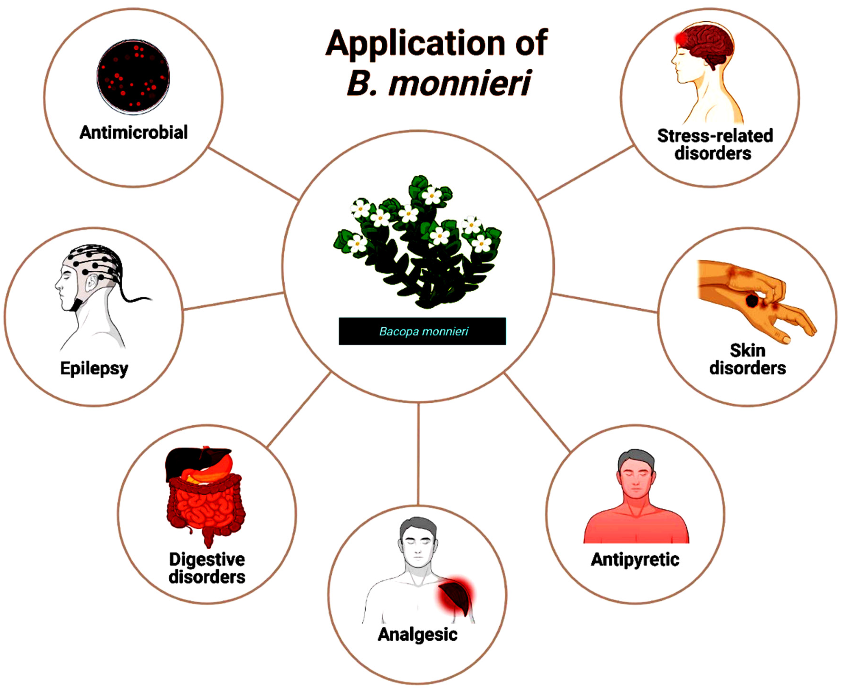 Molecules 27 04971 g001