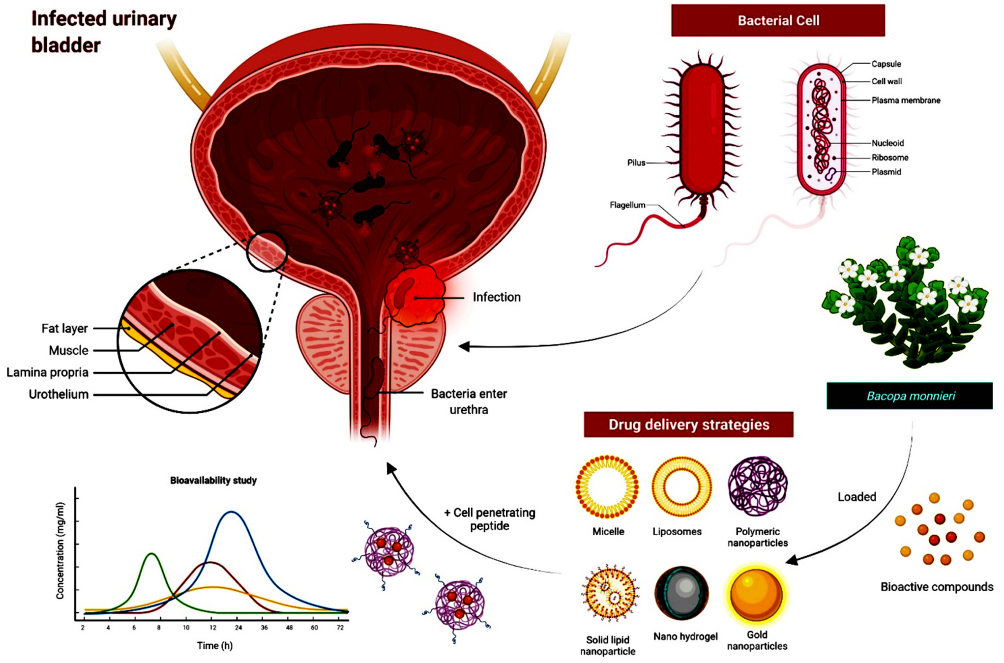 Molecules 27 04971 g008