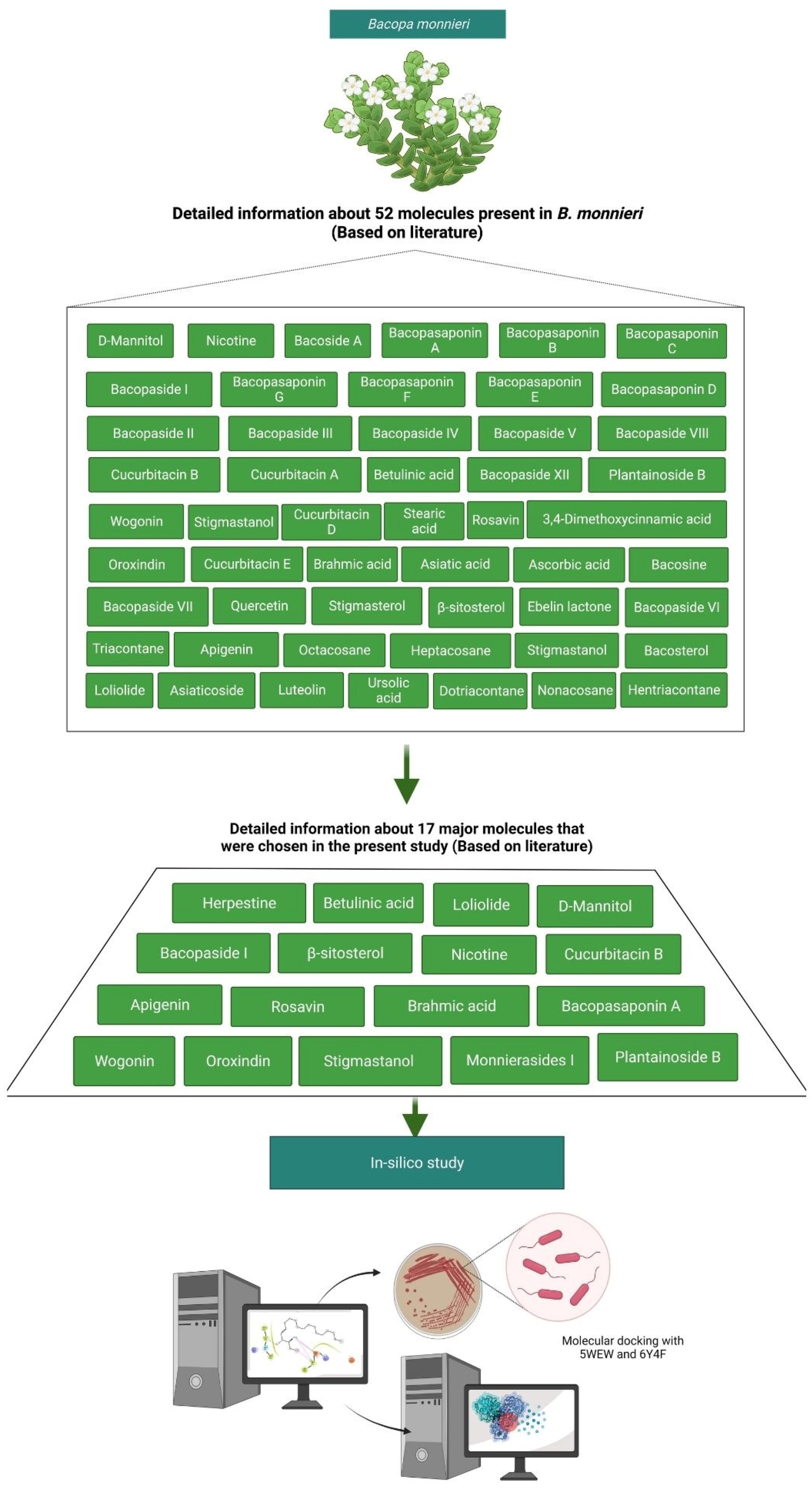 Molecules 27 04971 g009