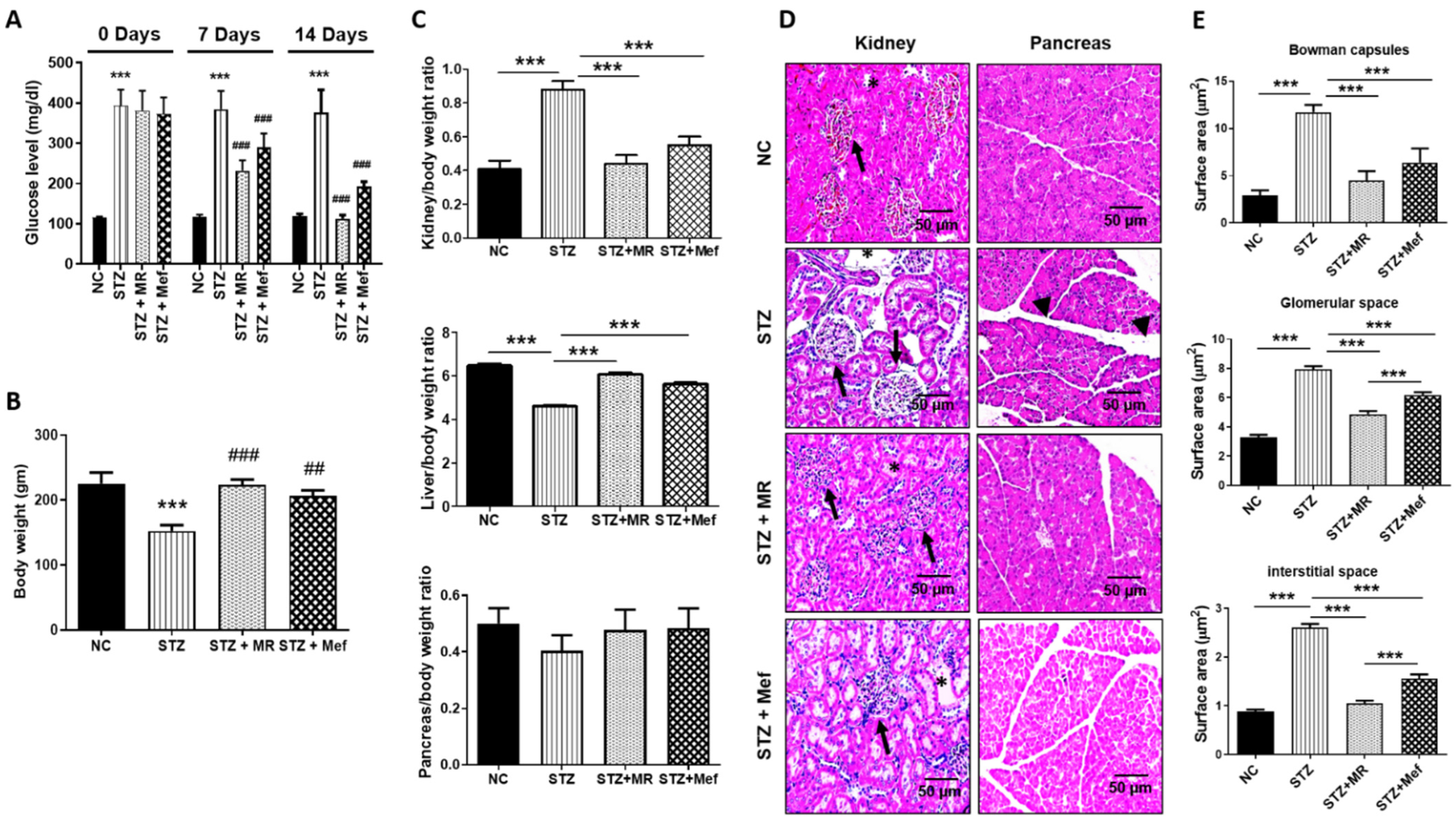 Molecules 27 04985 g001