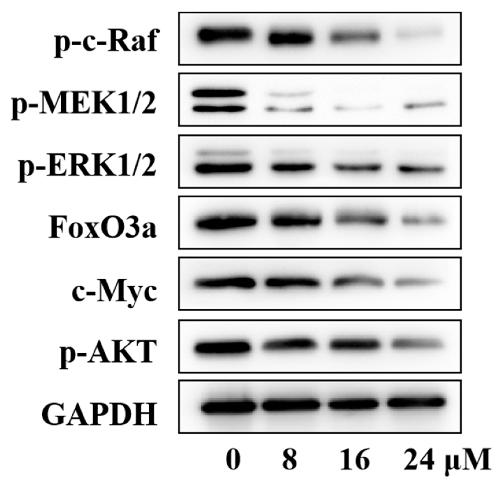 Molecules 27 04996 g005