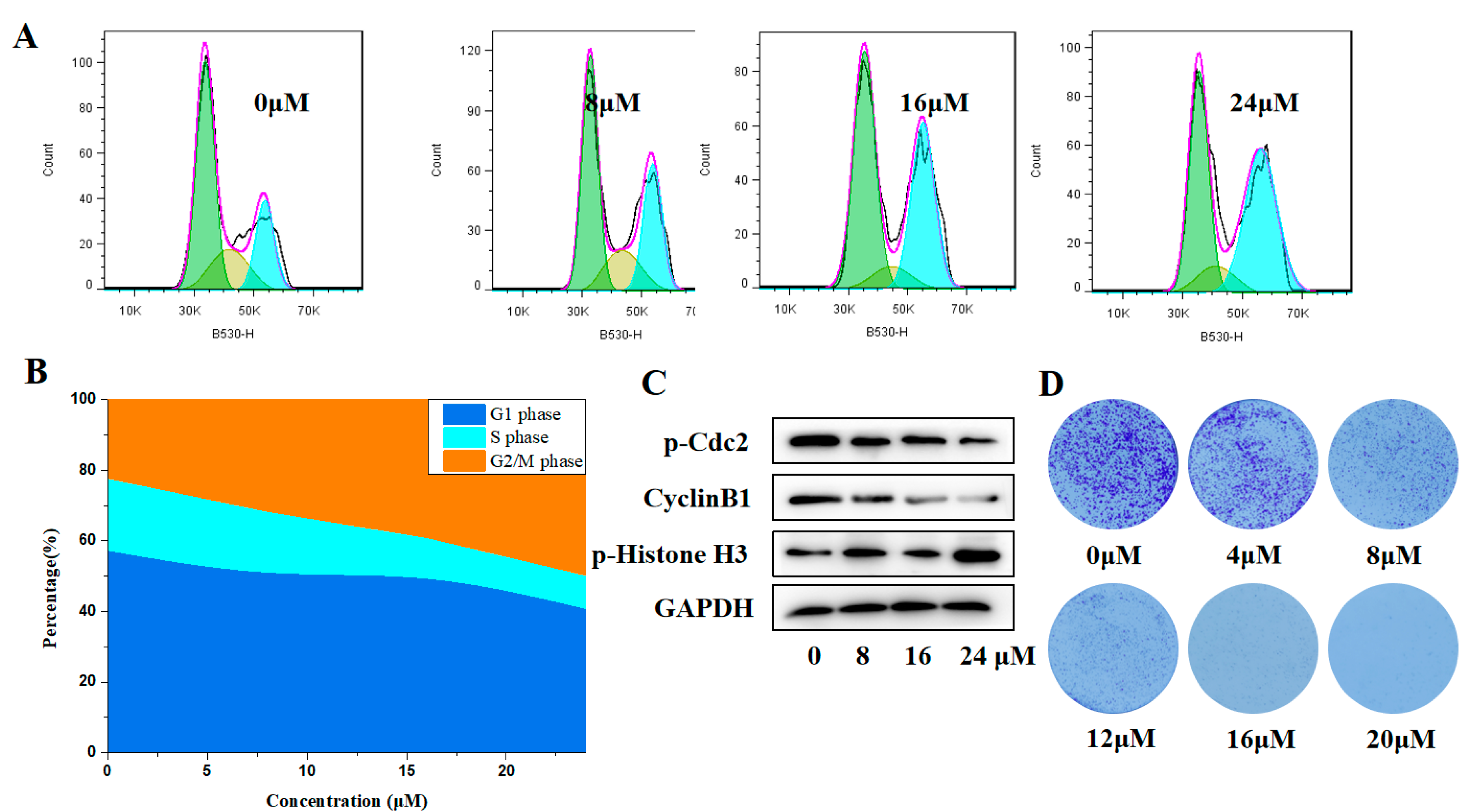 Molecules 27 04996 g006