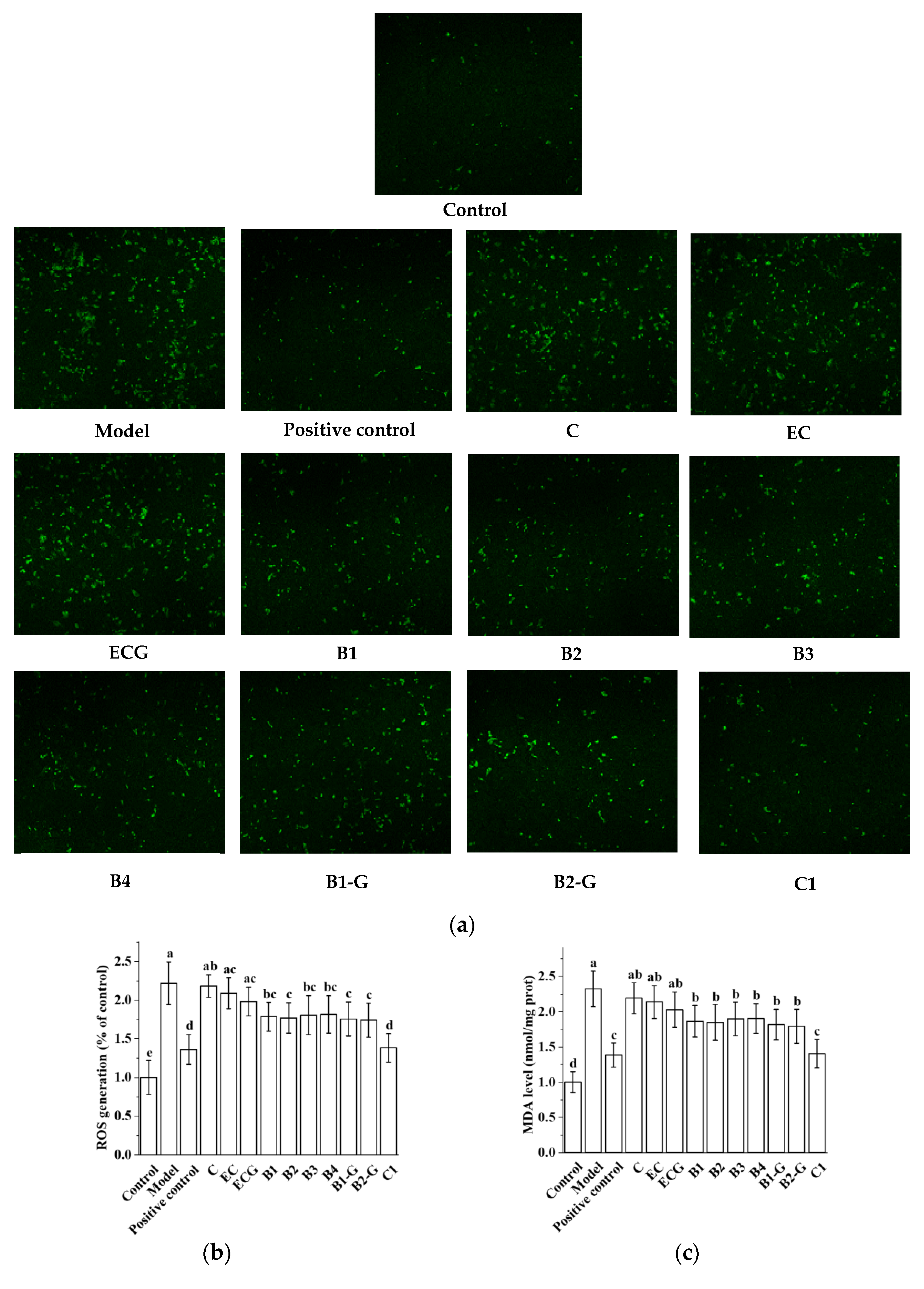 Molecules 27 05007 g004a