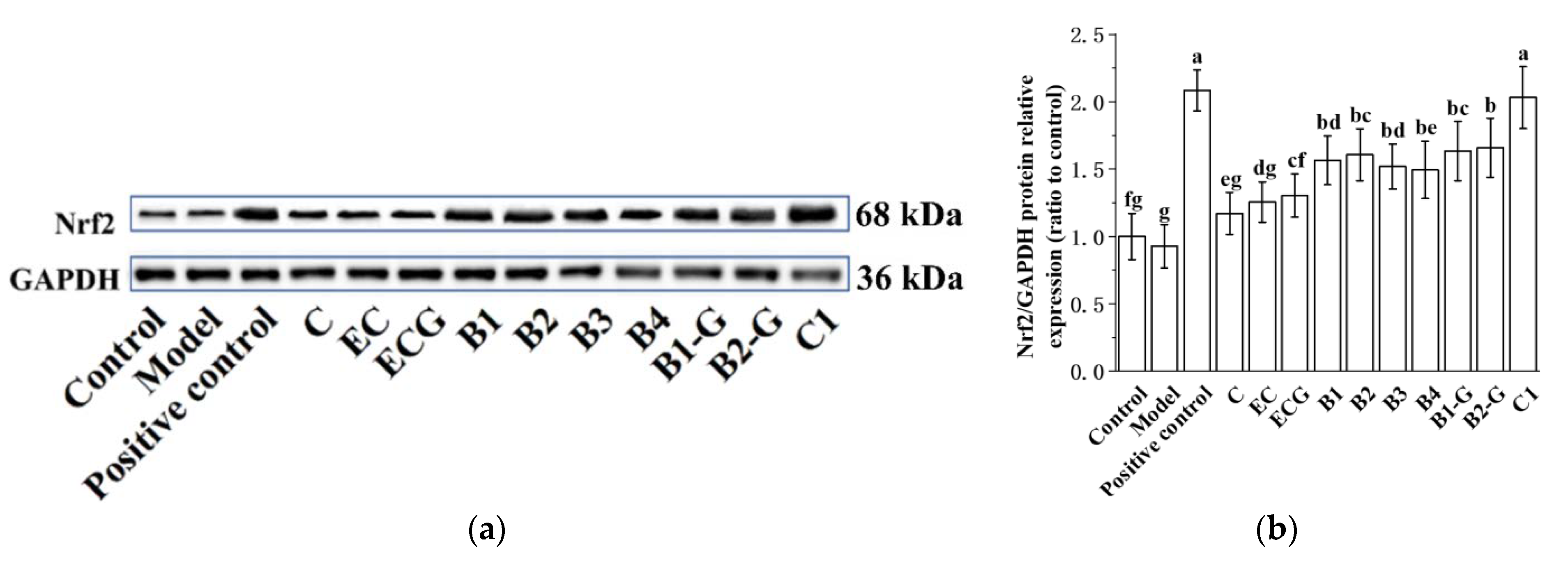 Molecules 27 05007 g005a