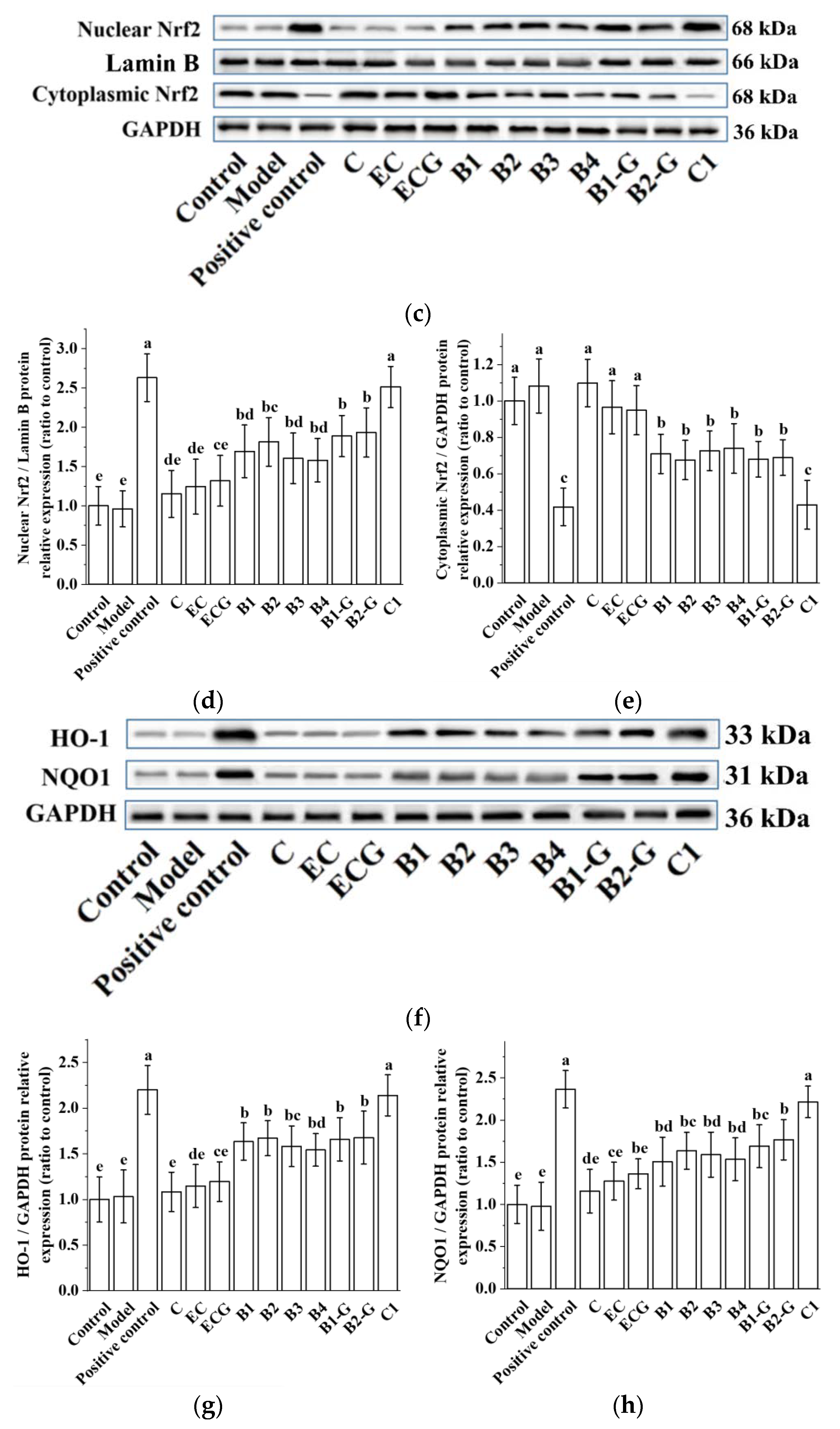 Molecules 27 05007 g005b