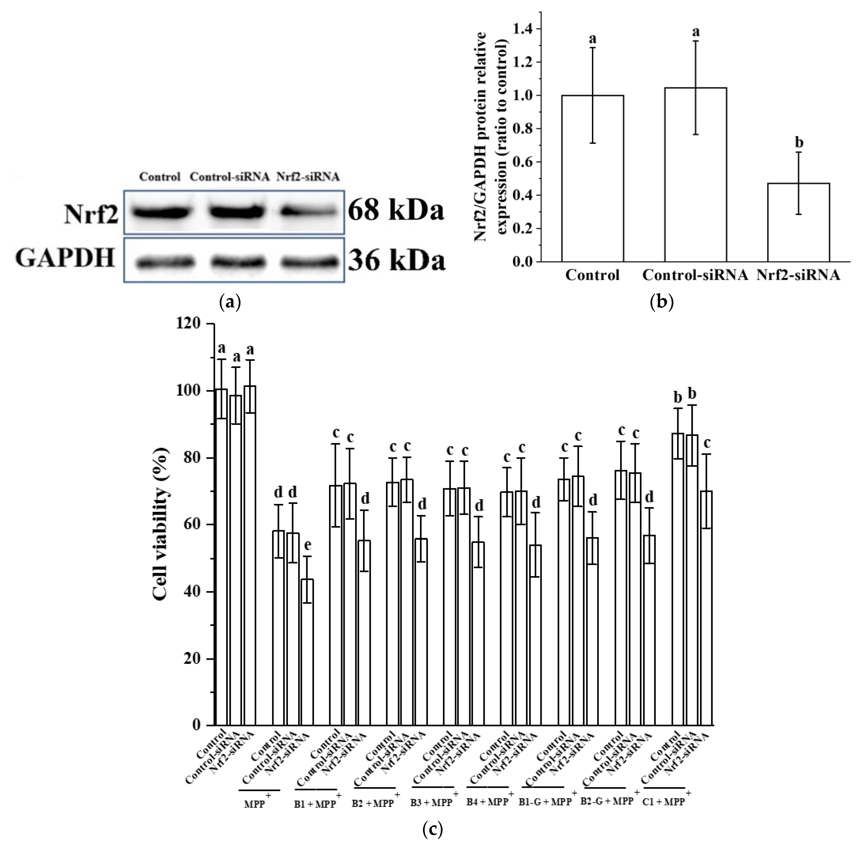 Molecules 27 05007 g006