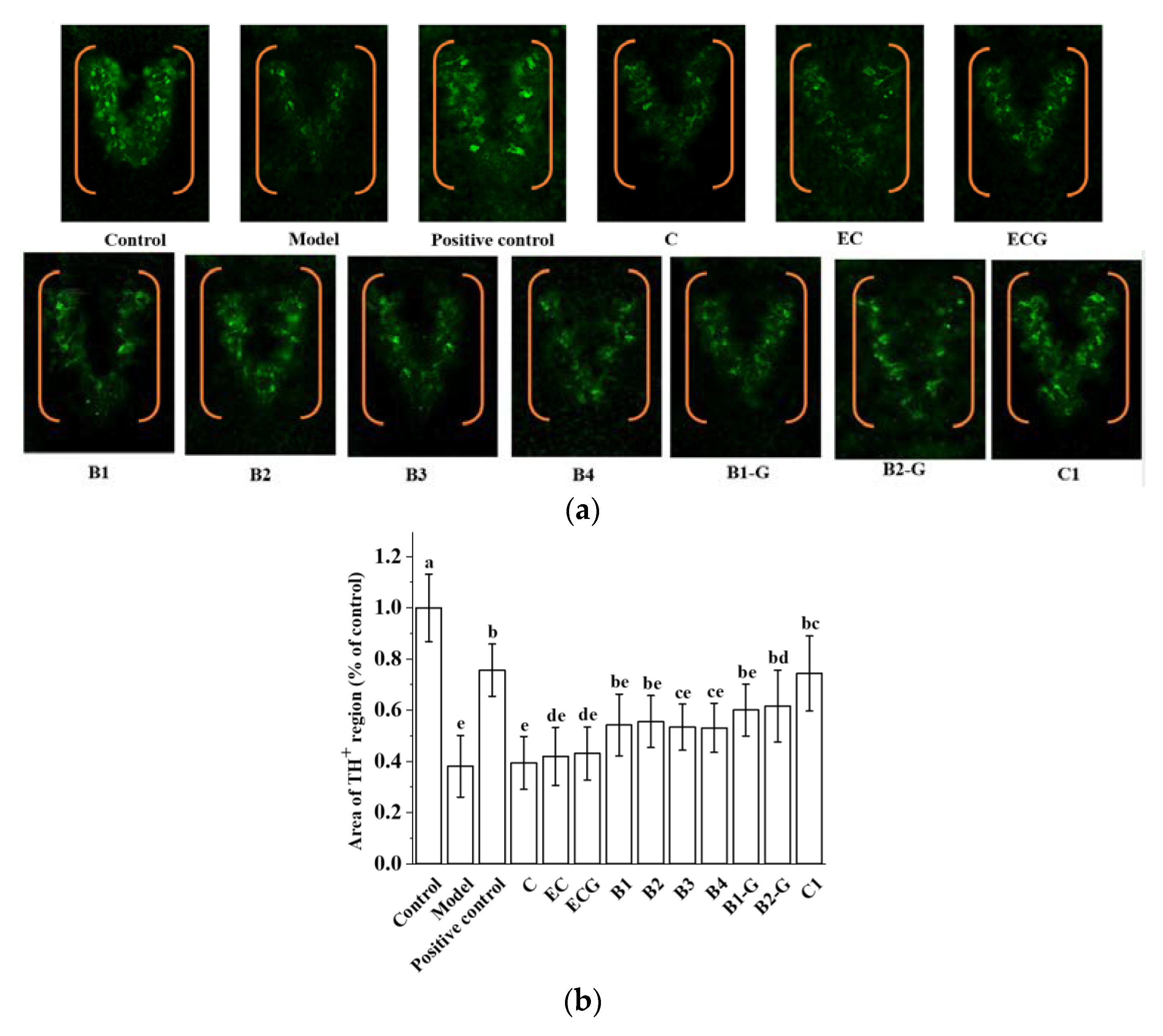 Molecules 27 05007 g008