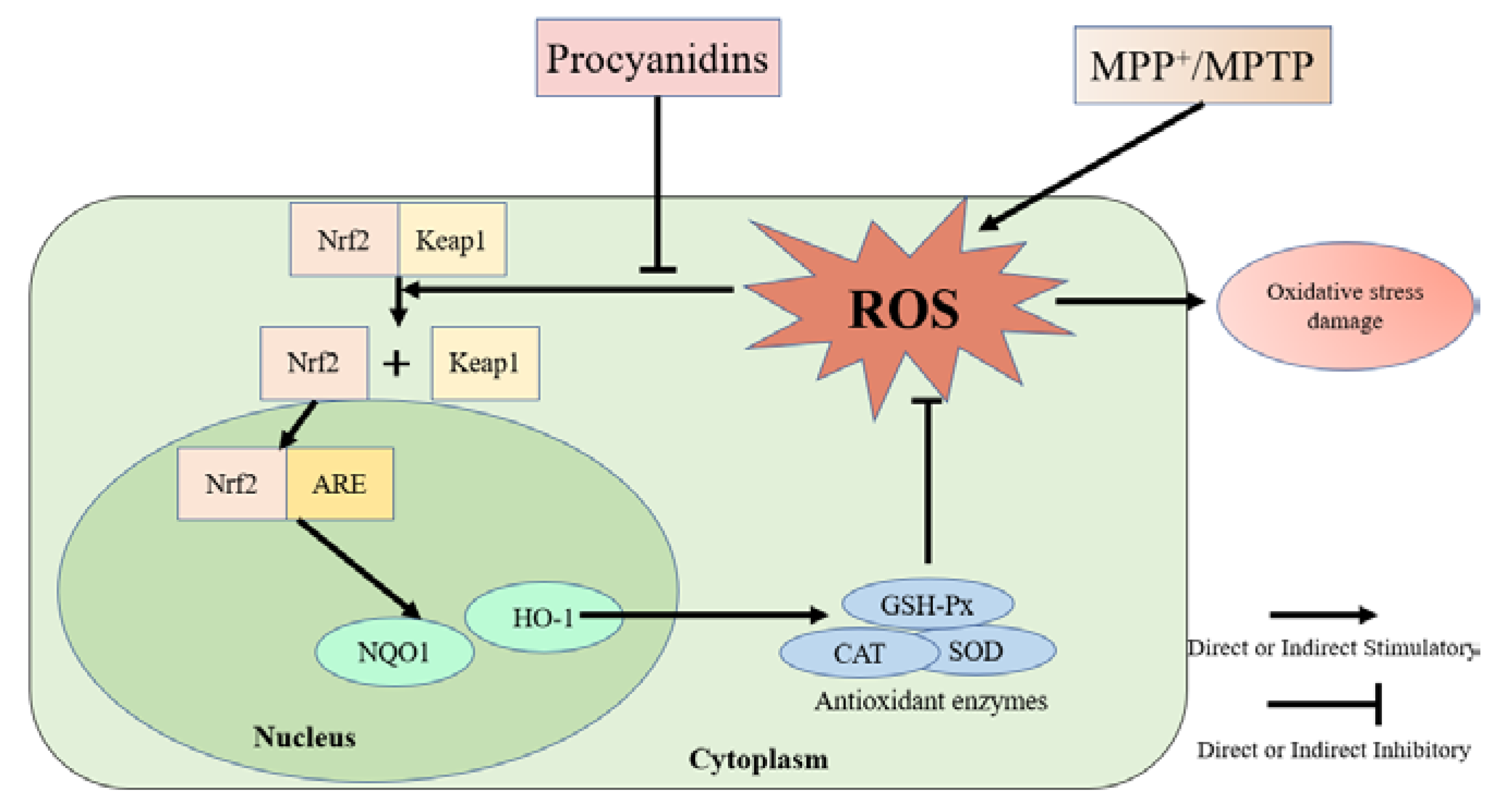 Molecules 27 05007 g011