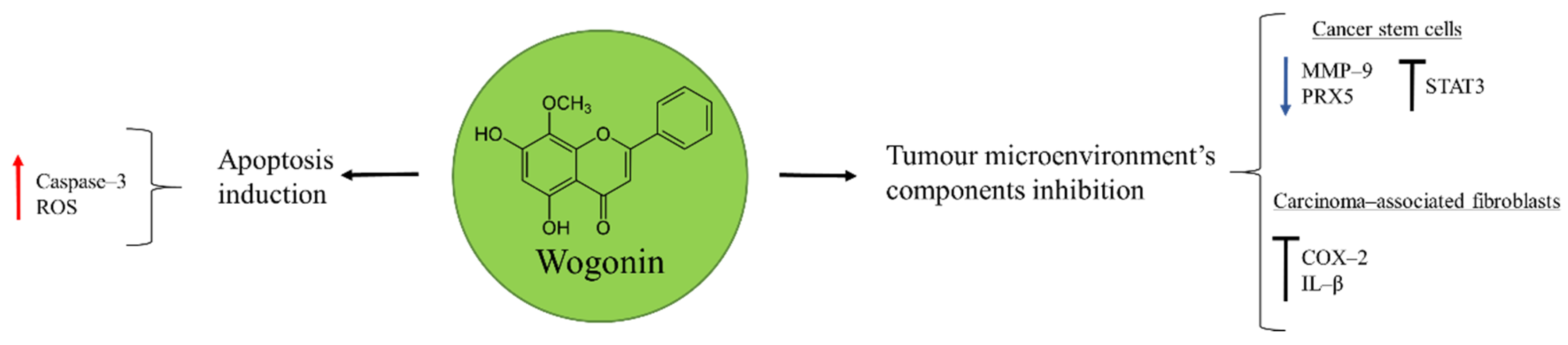 Molecules 27 05008 g002