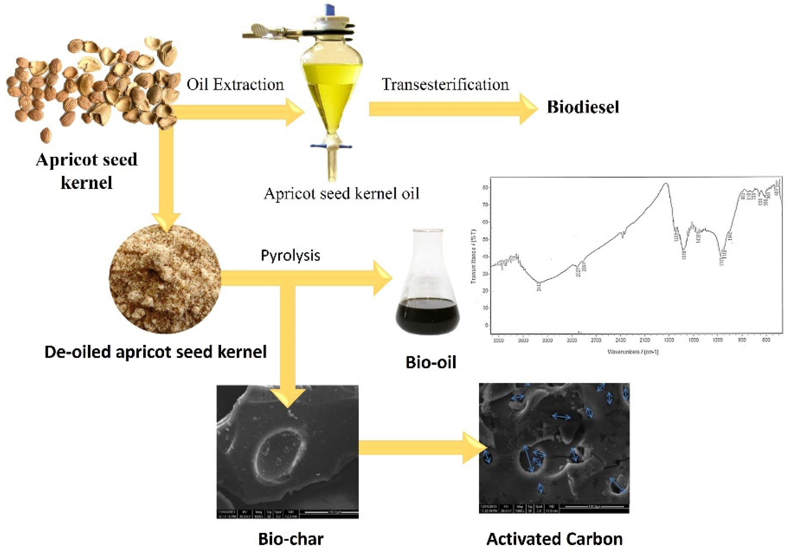 Molecules 27 05016 g008