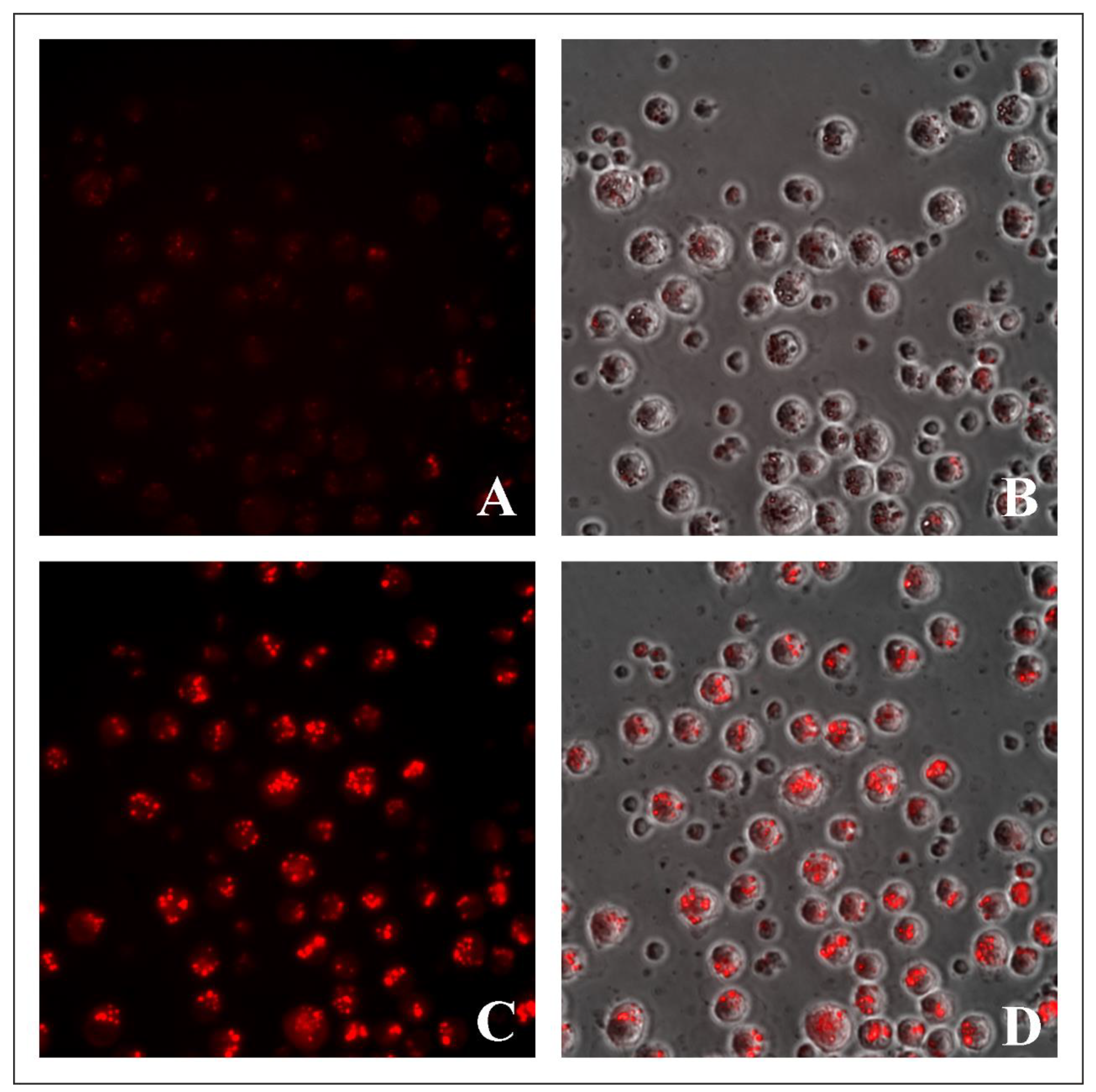 Molecules 27 05018 g007