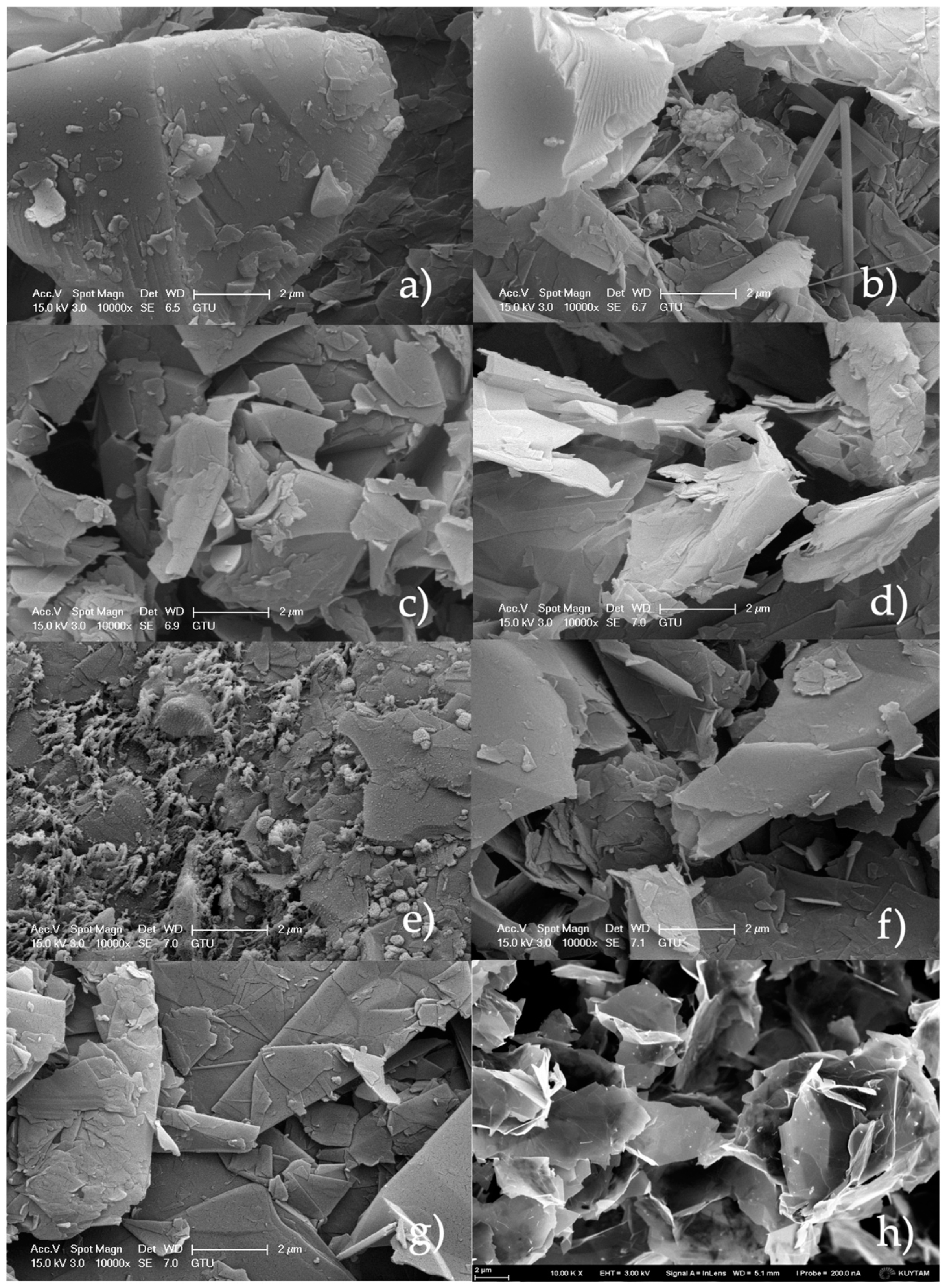 Molecules 27 05027 g012 Molecules 27 05027 g012
