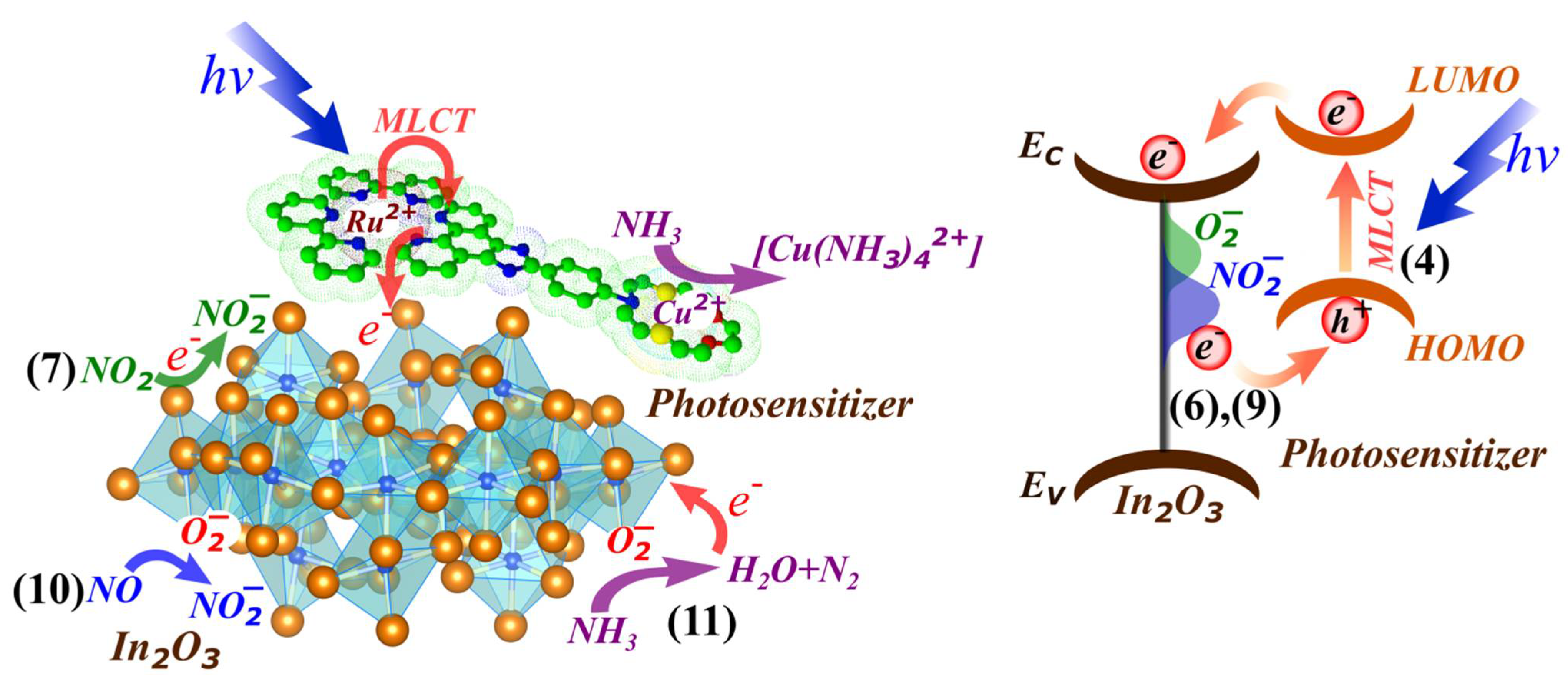 Molecules 27 05058 g005