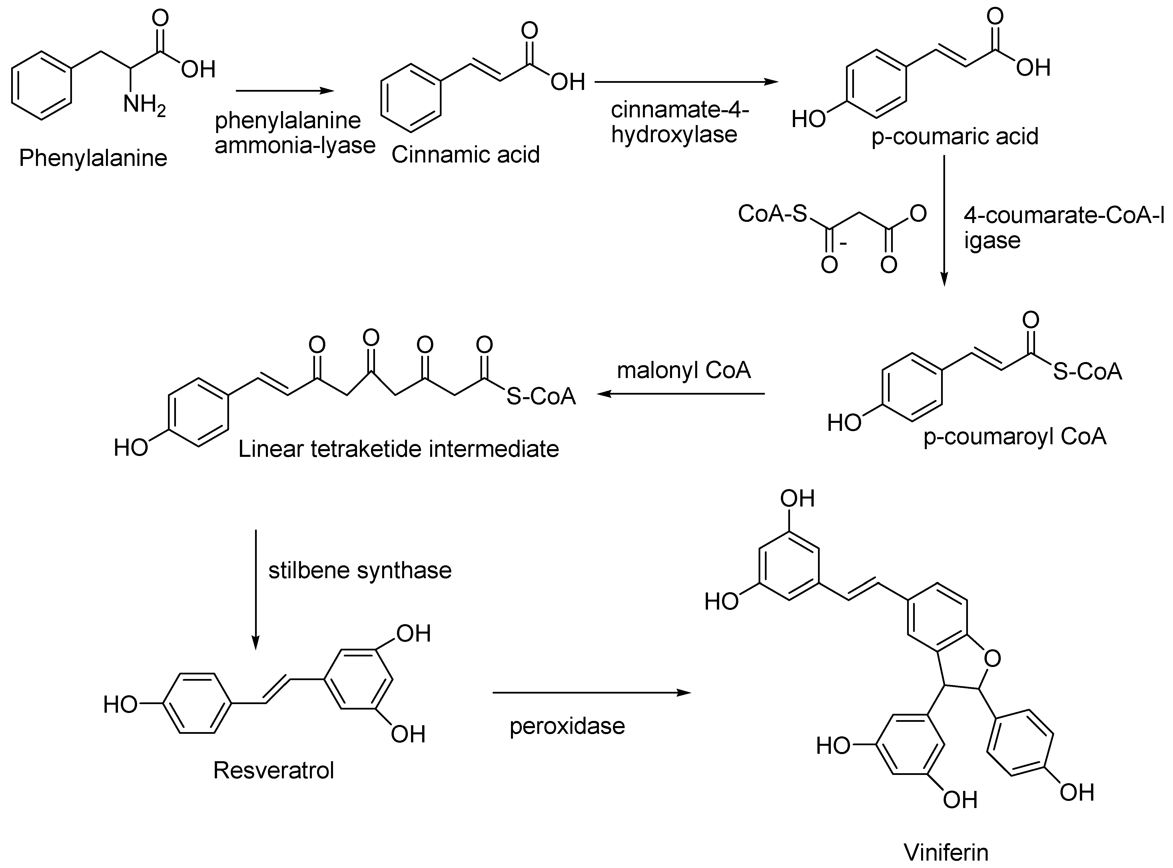 Molecules 27 05072 sch001
