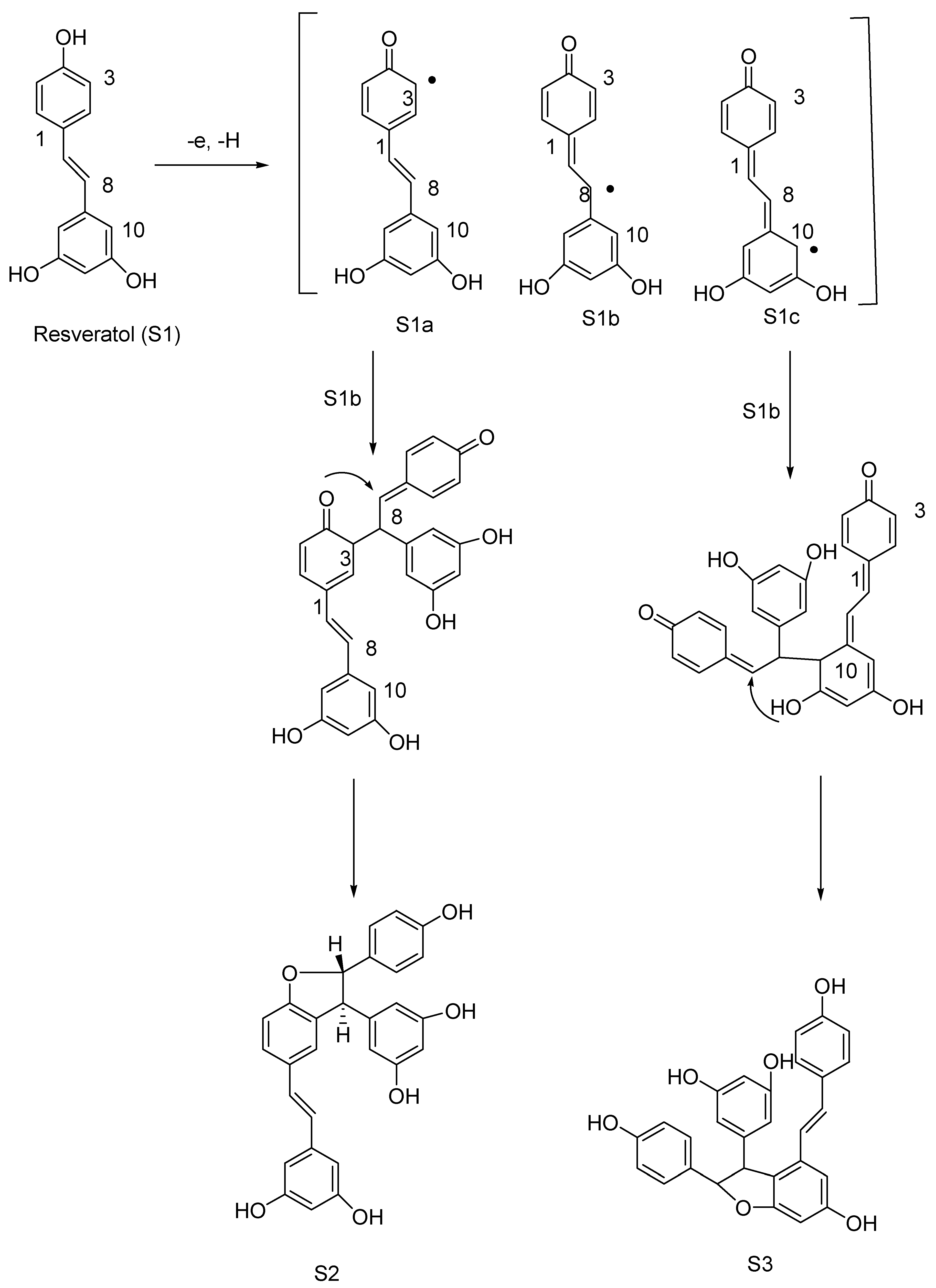 Molecules 27 05072 sch002