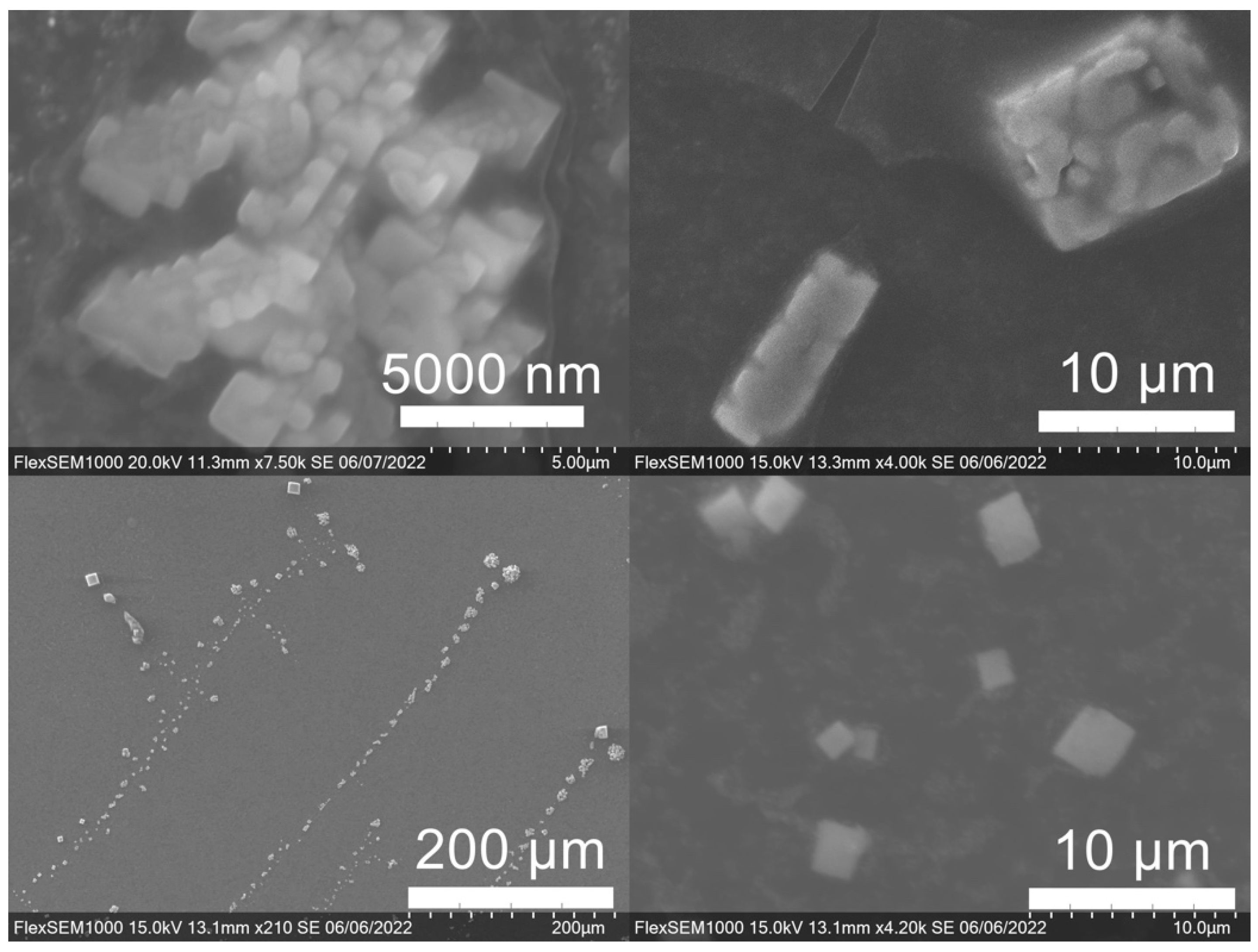 Molecules 27 05124 g010